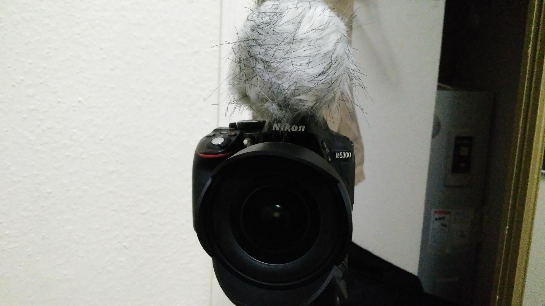 Movo WS1 Furry Microphone Windscreen for Zoom H1n, H1essential & H1 Recorders - Outdoor Wind Muff/Deadcat for Small Mics up to 3