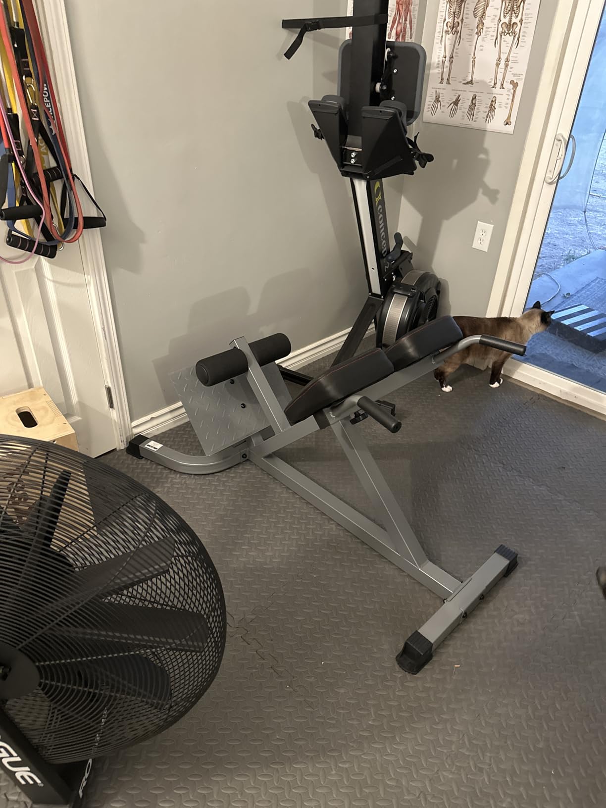 CAP Barbell Strength Hyperextension customer photo 2