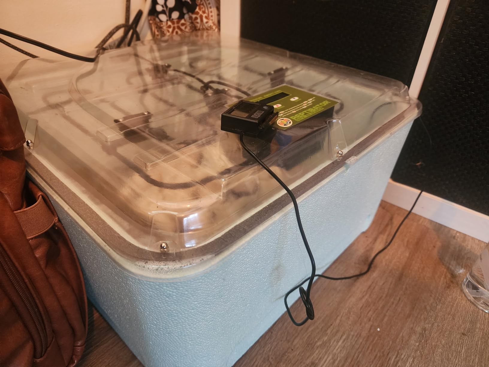 Zoo Med Laboratories - Reptibator Egg Incubator - RI-10 customer photo 1
