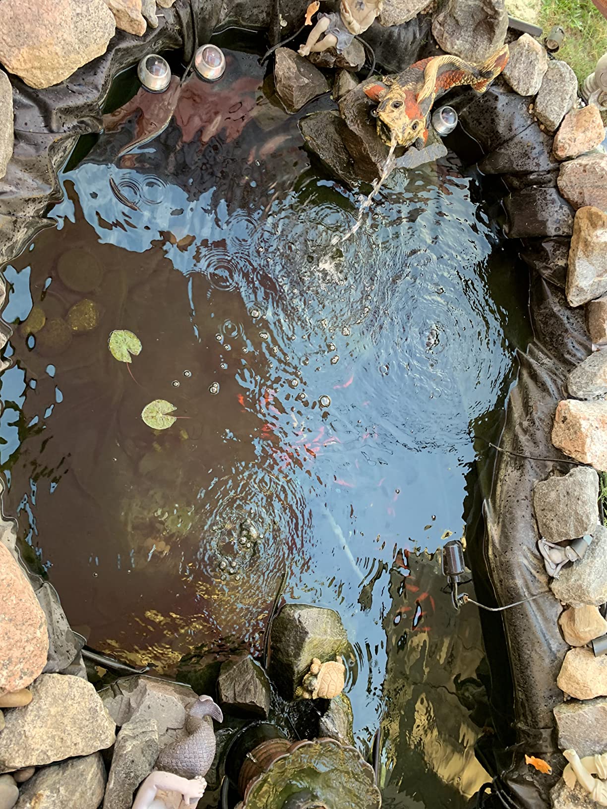SUN CPF-2500 Grech Pond Bio Pressure Filter, UVC Upto 1600 gal, 13W customer photo 1