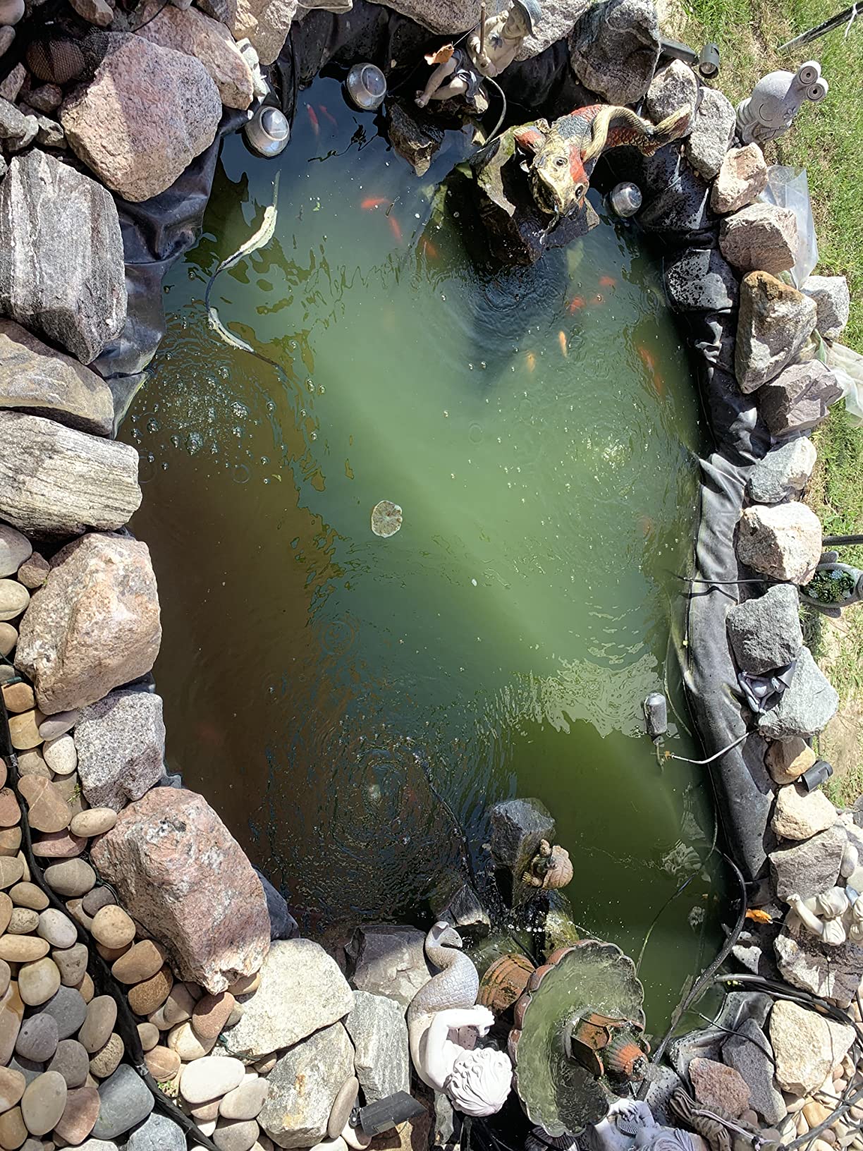 SUN CPF-2500 Grech Pond Bio Pressure Filter, UVC Upto 1600 gal, 13W customer photo 2