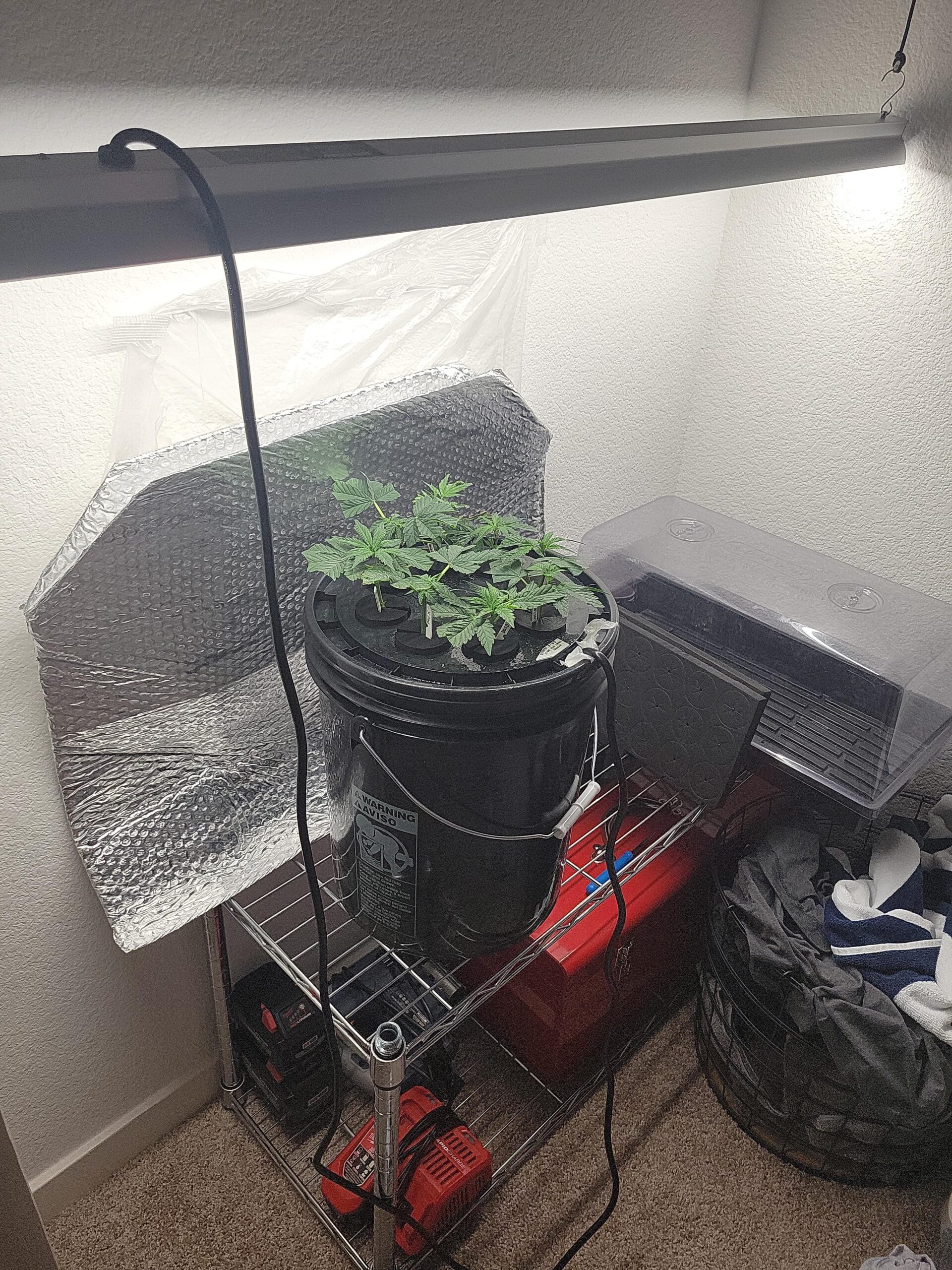 OctoCloner 8-Site Aeroponic Cloning/Propagation System customer photo 1