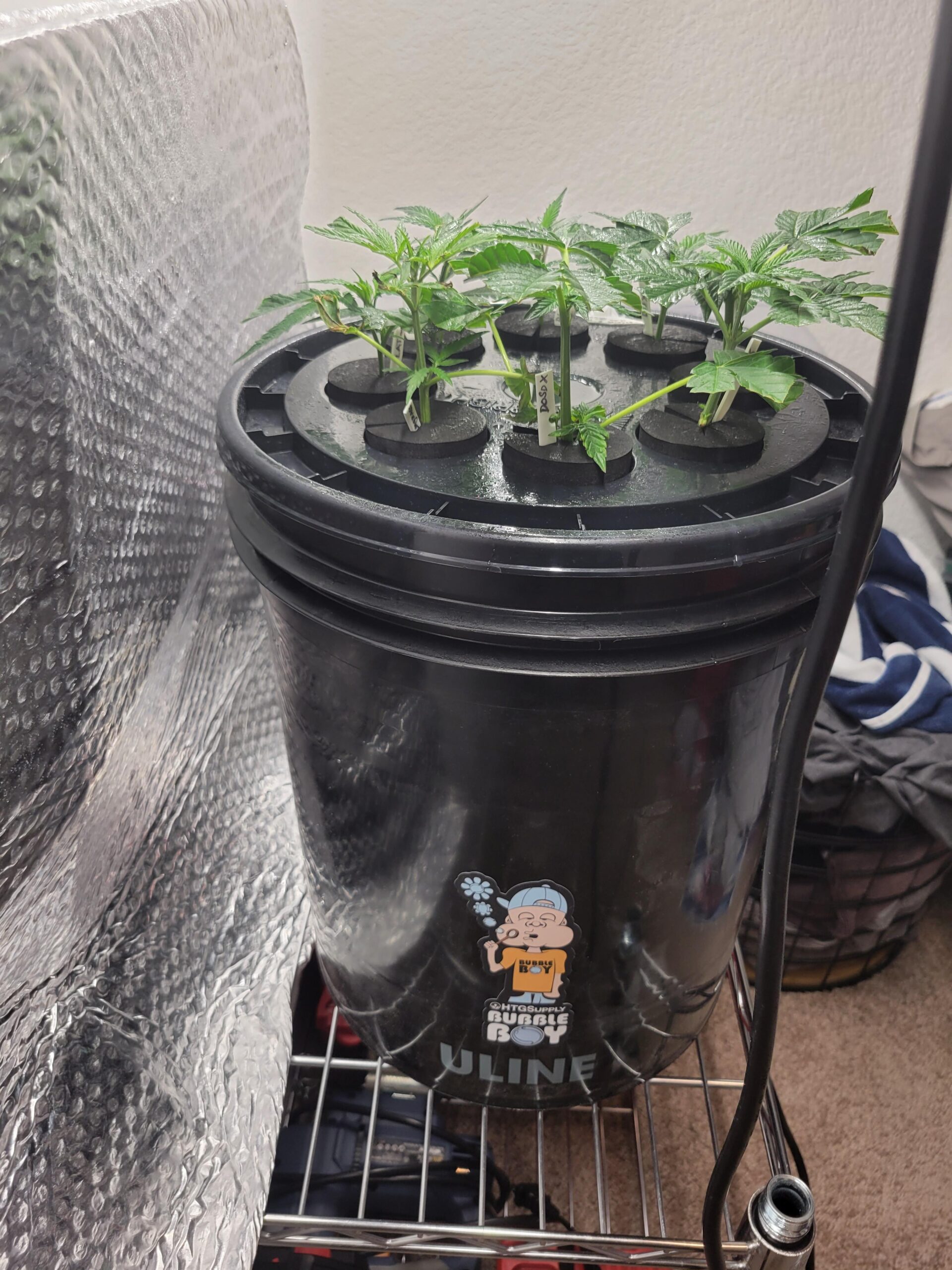 OctoCloner 8-Site Aeroponic Cloning/Propagation System customer photo 2