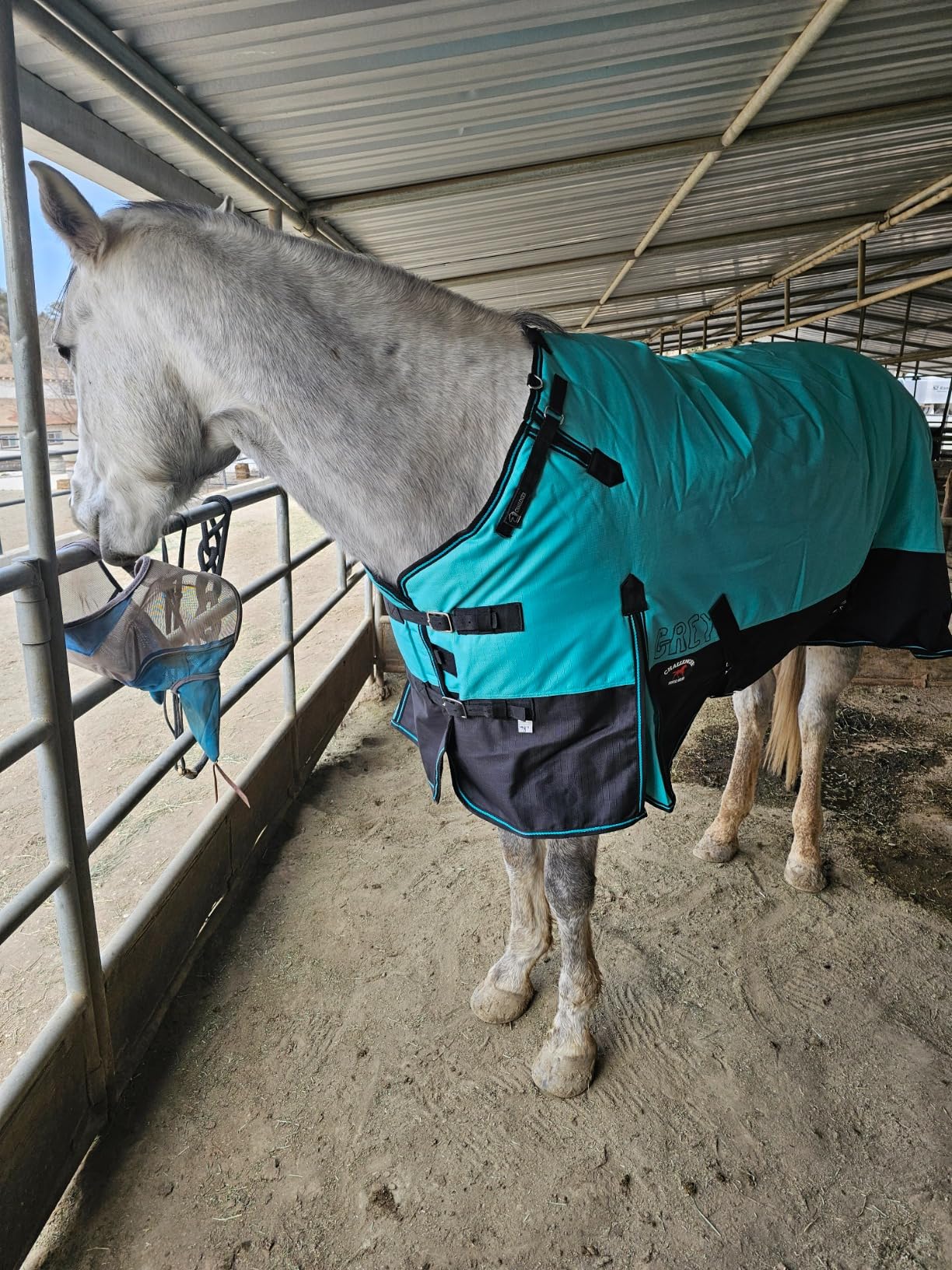 Challenger 1200D Turnout Waterproof Horse Winter Blanket Heavy 511 customer photo 1