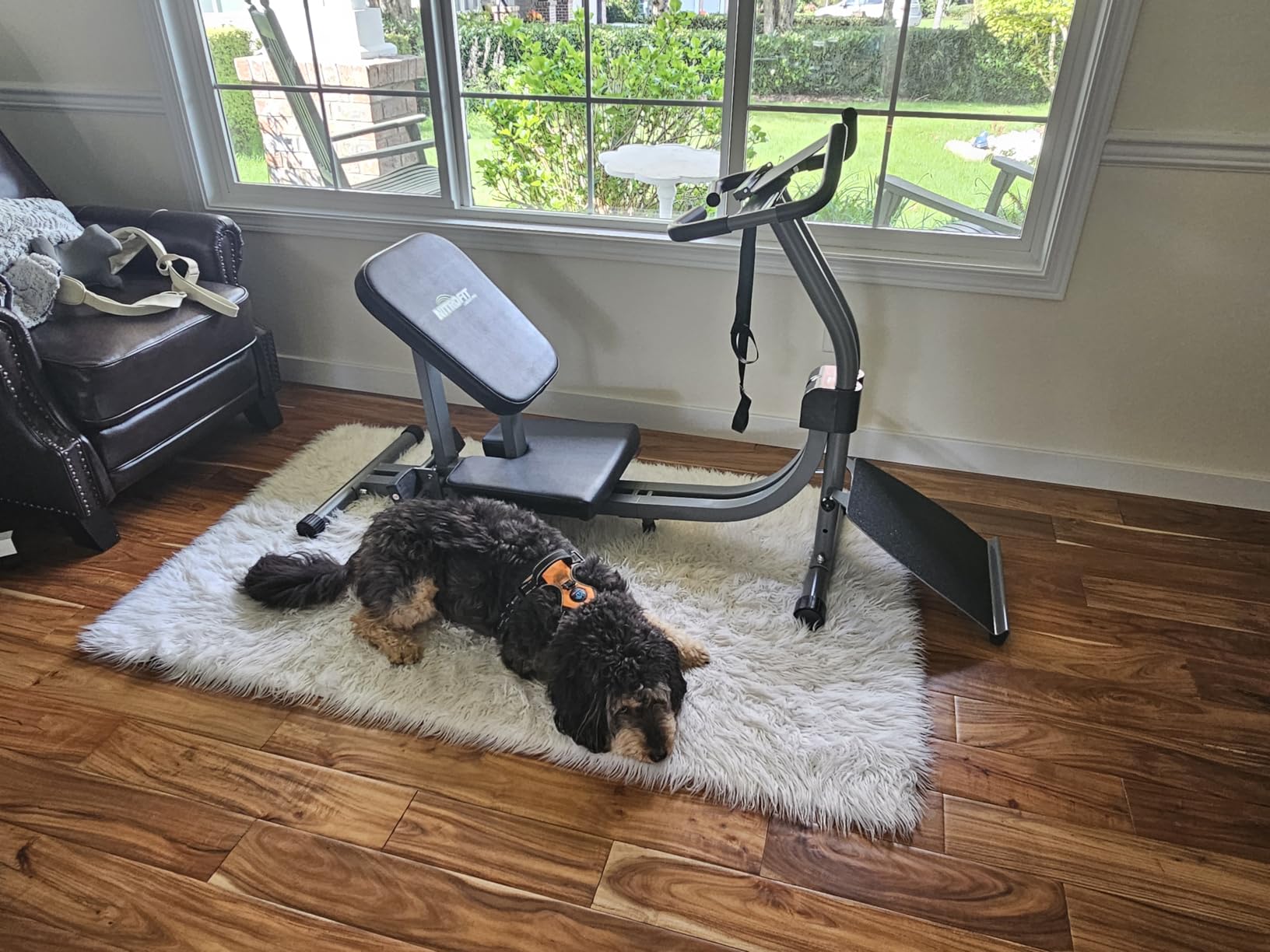 Nitrofit Limber Pro Adjustable Seat Stretch Machine for Lumbar Stretching, Lower Back Pain, Leg Stretch, Rehab, Flexibility, Injury Prevention, Calves customer photo 1