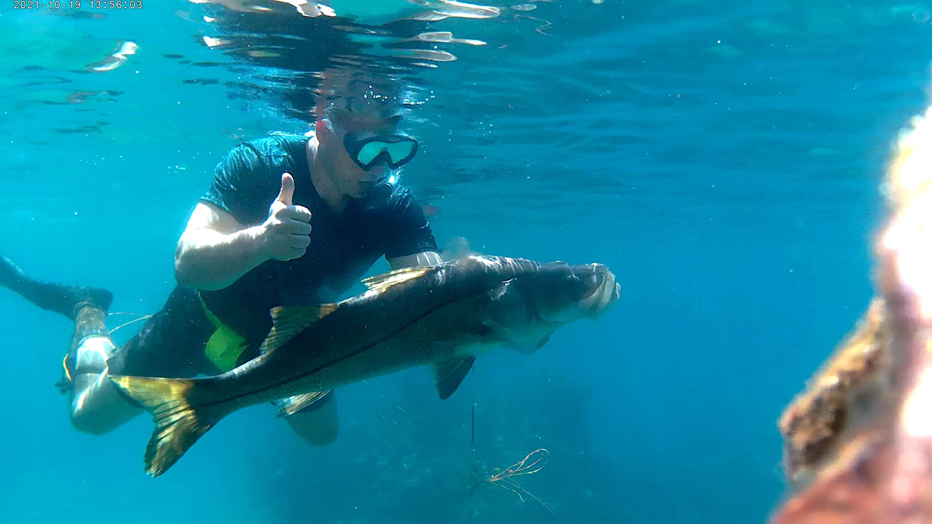 Mares Viper Pro DS Speargun for Spearfishing - Pneumatic Spear Gun with Aluminum Barrel & Vertical Spiro Reel customer photo 1