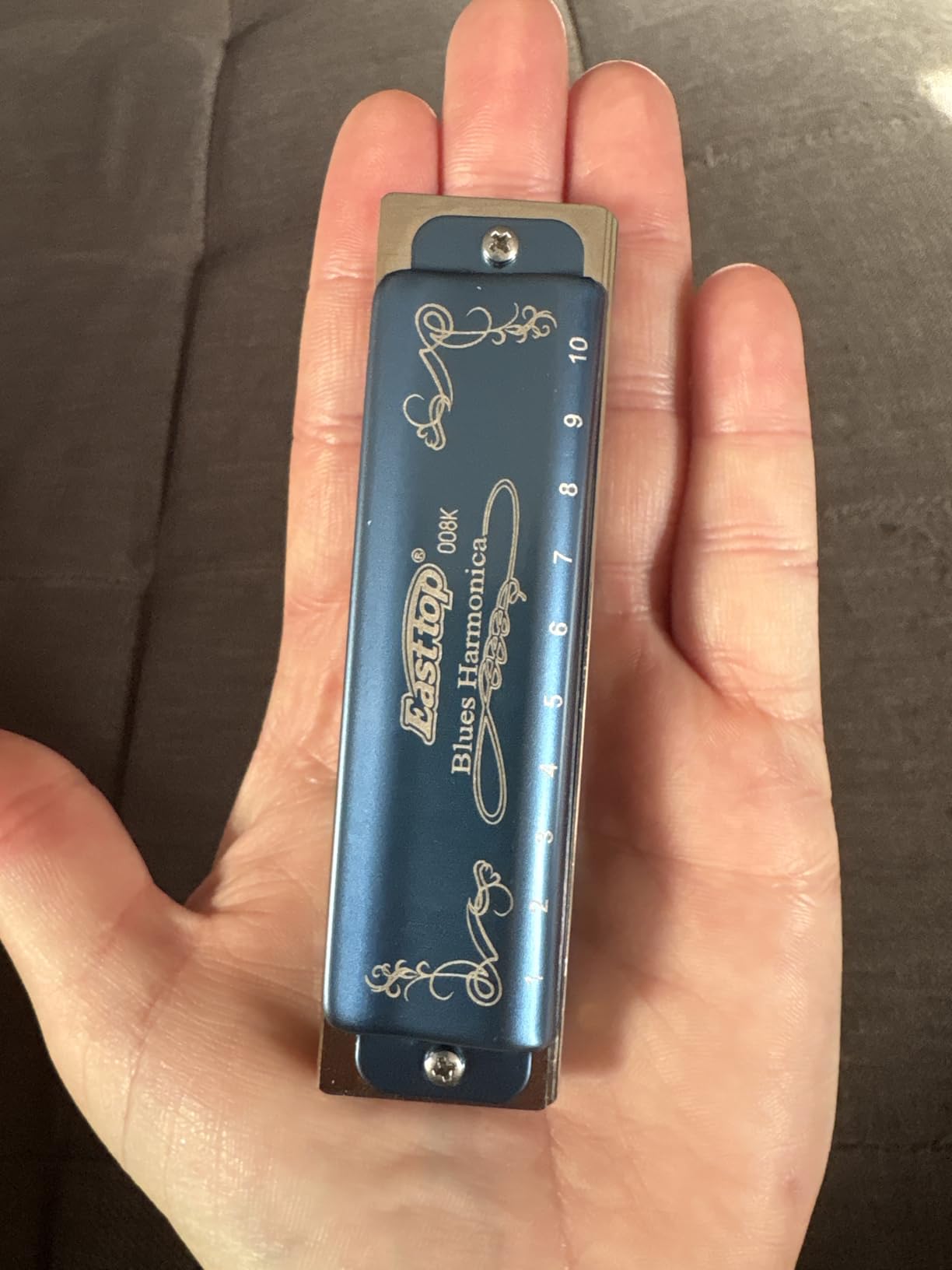 East top Harmonica Key of C, 10 Holes 008K Diatonic Mouth Organ with Blue Case, Standard Harmonica For Adults, Professionals, Beginners and Students customer photo 1