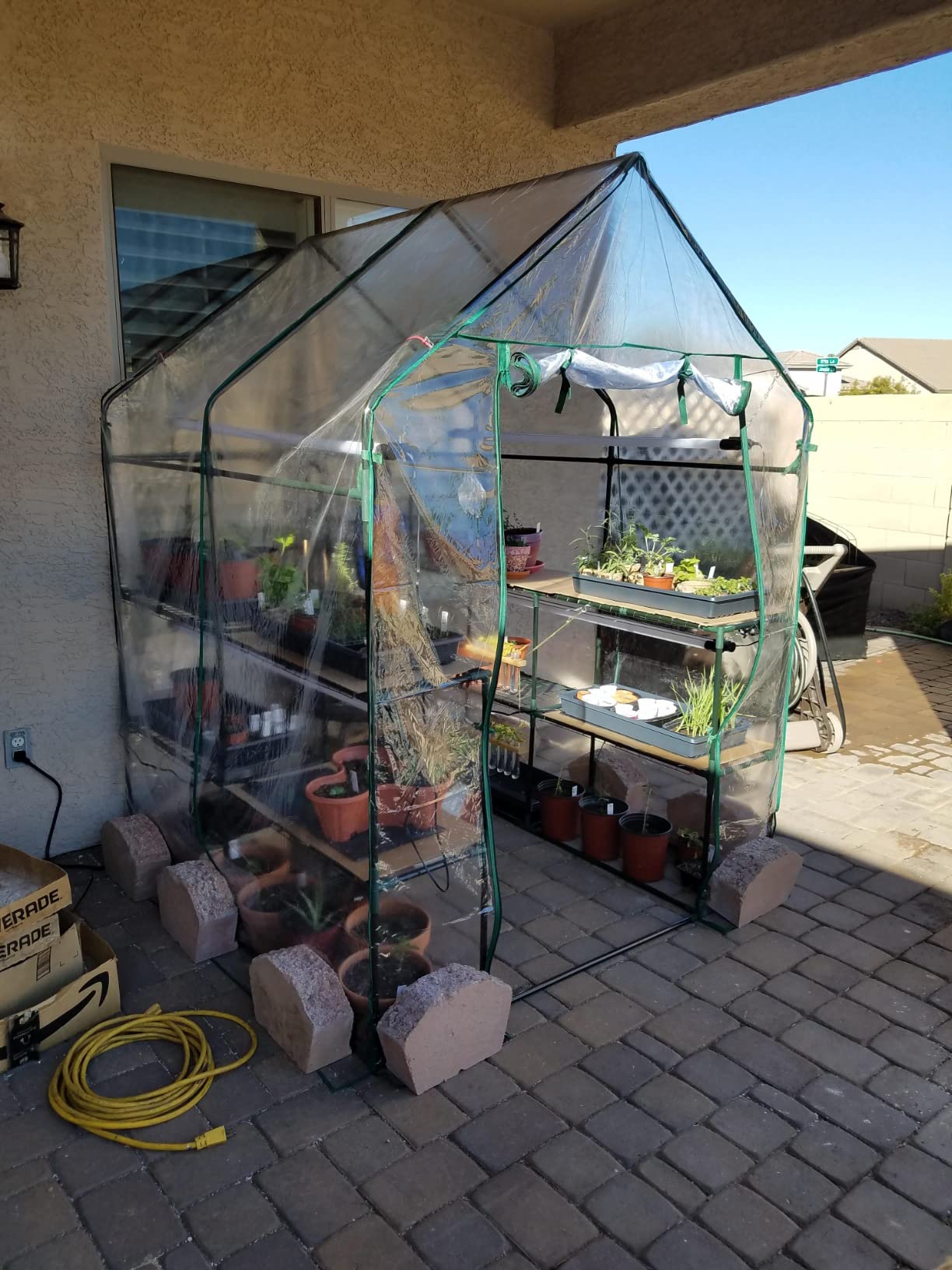 Greenhouse - Walk in Greenhouse with 8 Sturdy Shelves and PVC Cover for Indoor or Outdoor Use - 56 x 56 x 76-Inch Green House by Pure Garden customer photo 1