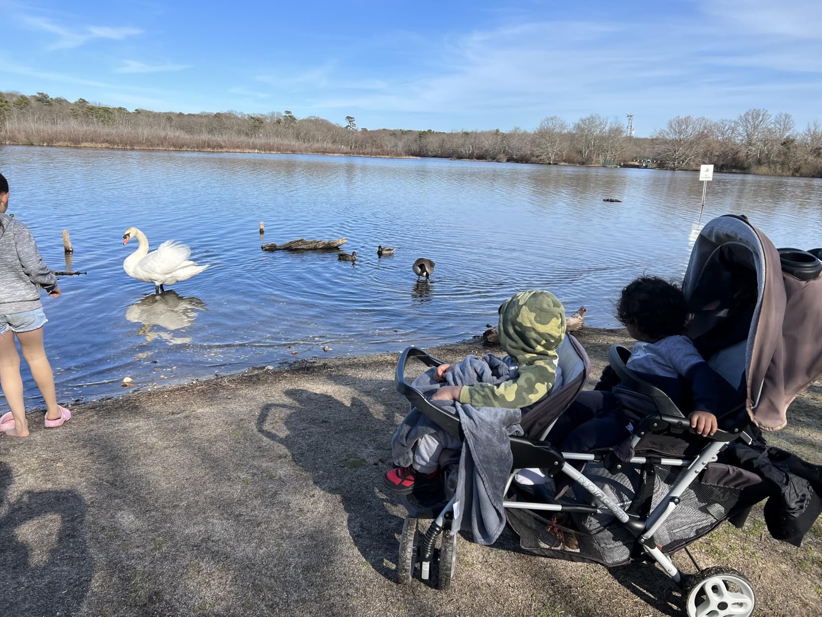 Graco DuoGlider Double Stroller customer photo 1