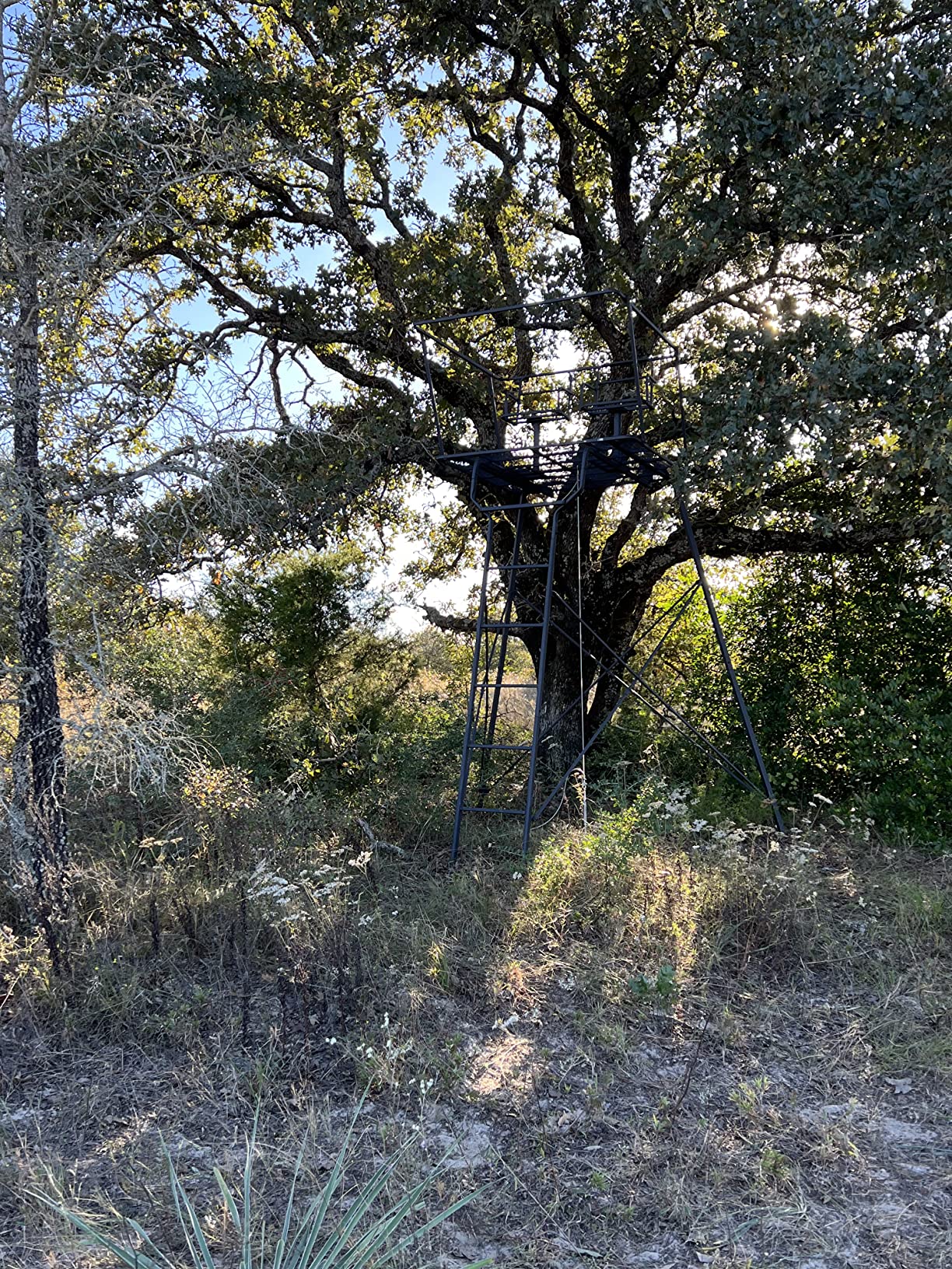Guide Gear 12' Hunting Climbing Tree Stand Tower with Ladder, 2 Person Treestand, Hunting Gear, Equipment, and Accessories customer photo 2