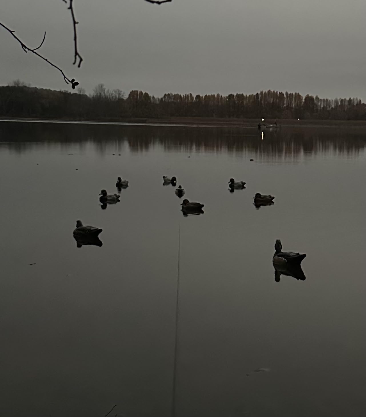 Ultimate Decoy Spreader and Jerk Rig Includes Anchor Bag! Bring Your decoys to Life. Put The Most Realistic Motion into Your decoys. customer photo 2