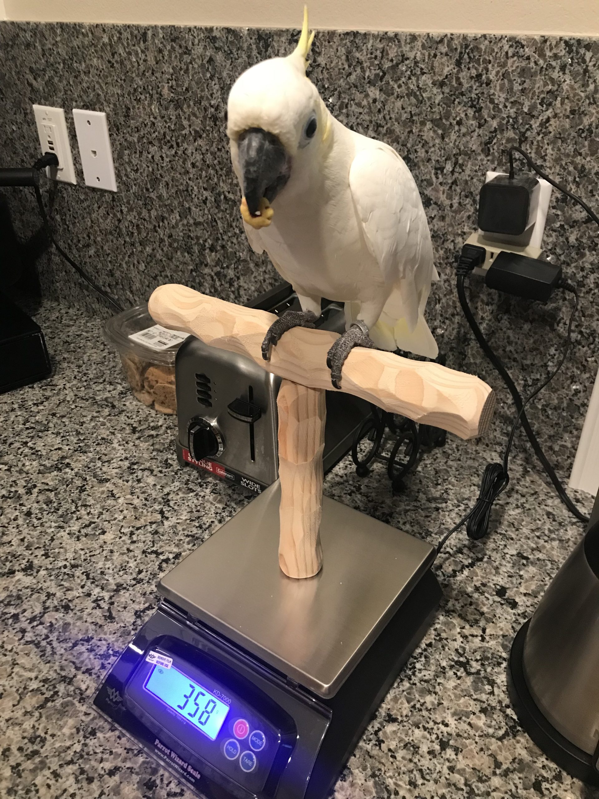 NU Perch Parrot Training Scale customer photo 1