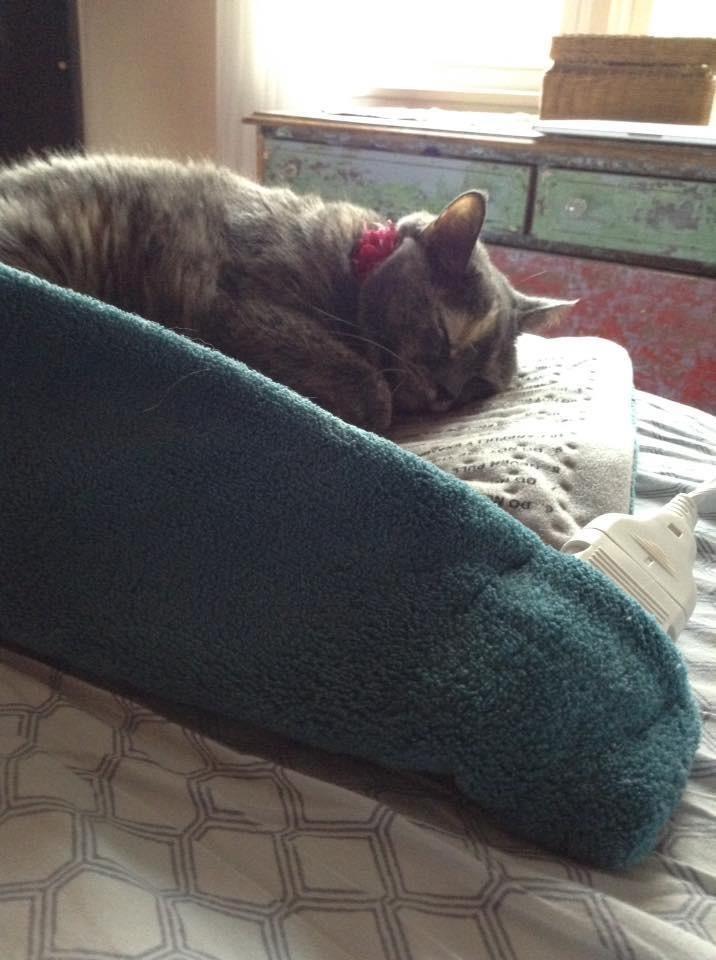 Pure Enrichment PureRelief XL Heating Pad - 12