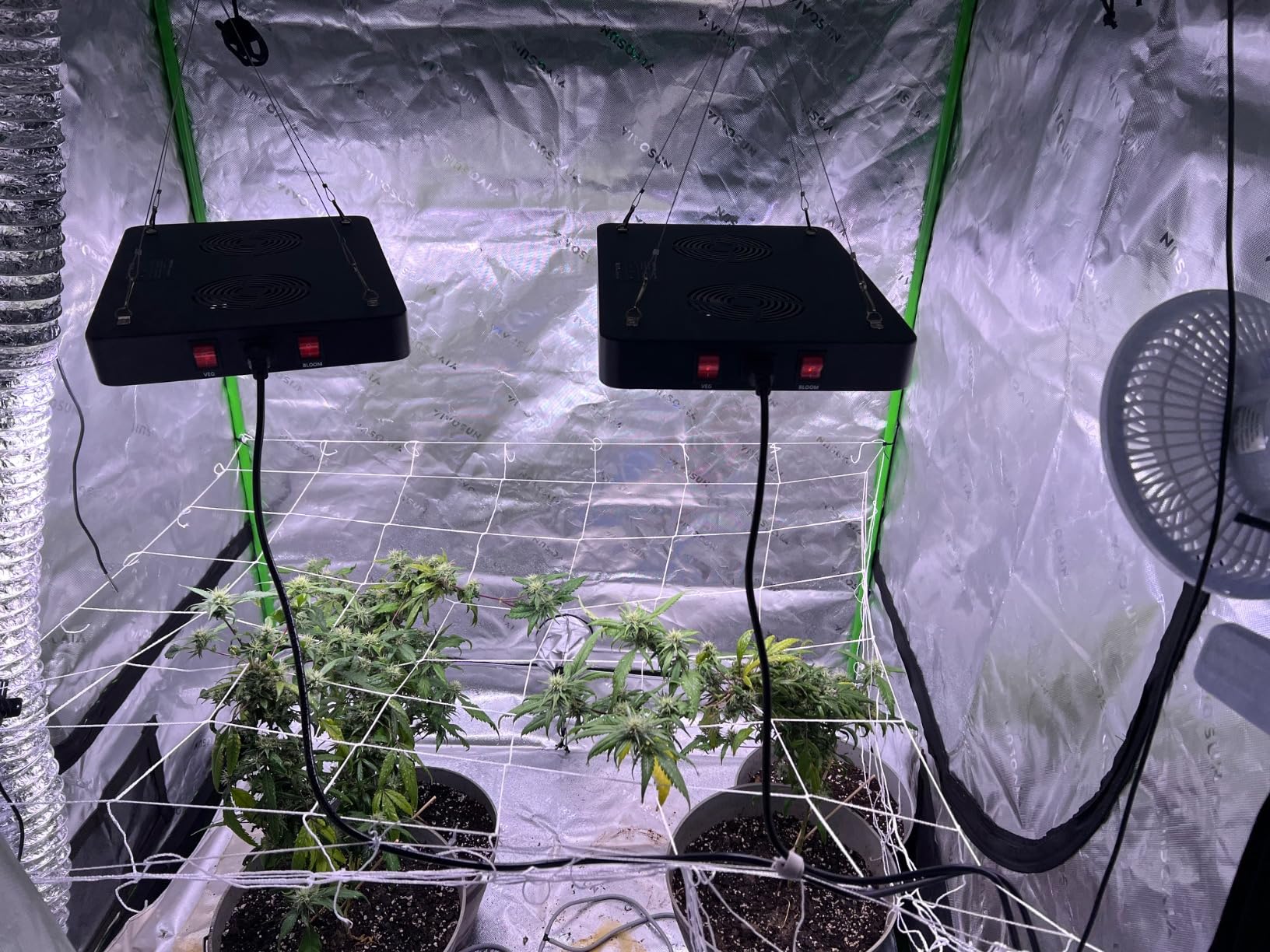 BESTVA DC2000 LED Grow Light, Full Spectrum Grow Lights for Indoor Plants with Veg & Bloom Switches, Quiet Cooling Fan, for Seedling Veg Bloom All Growth Stages customer photo 2