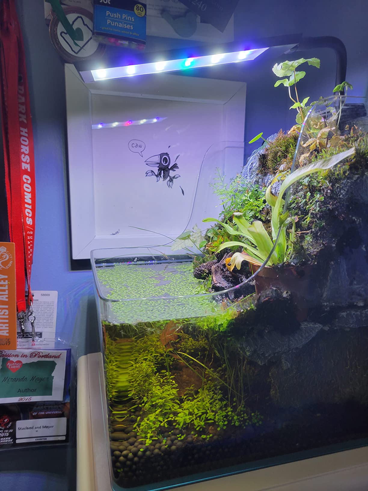 PENN-PLAX AquaTerrium Planting Tank - Hydroponic Aquarium with Integrated Filter System for Live Plants and Fish - 1.85 Gallons customer photo 1