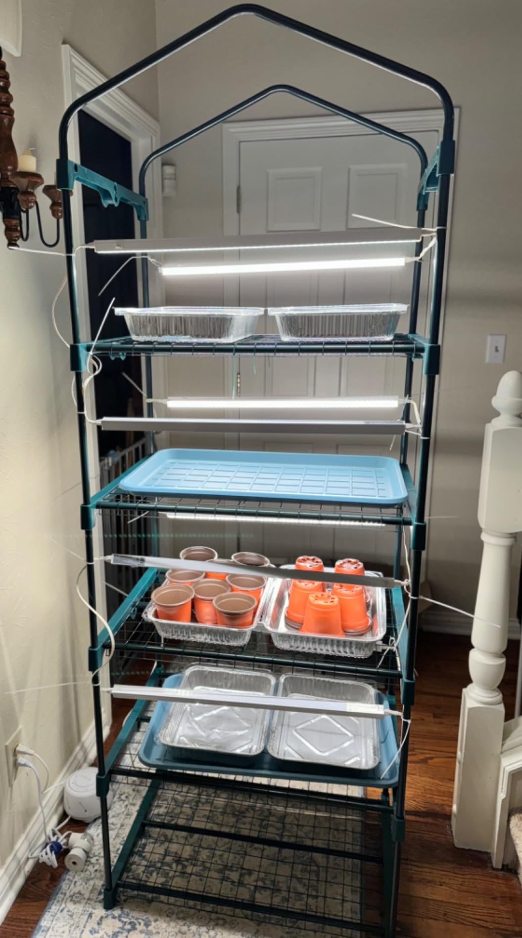 Worth Garden 4 Tier Mini Greenhouse - 63'' H x 27'' L x 19'' W - Sturdy Portable Gardening Shelves with PVC Cover - Small Green House Use in Indoor & Outdoor for Plants Flowers customer photo 1