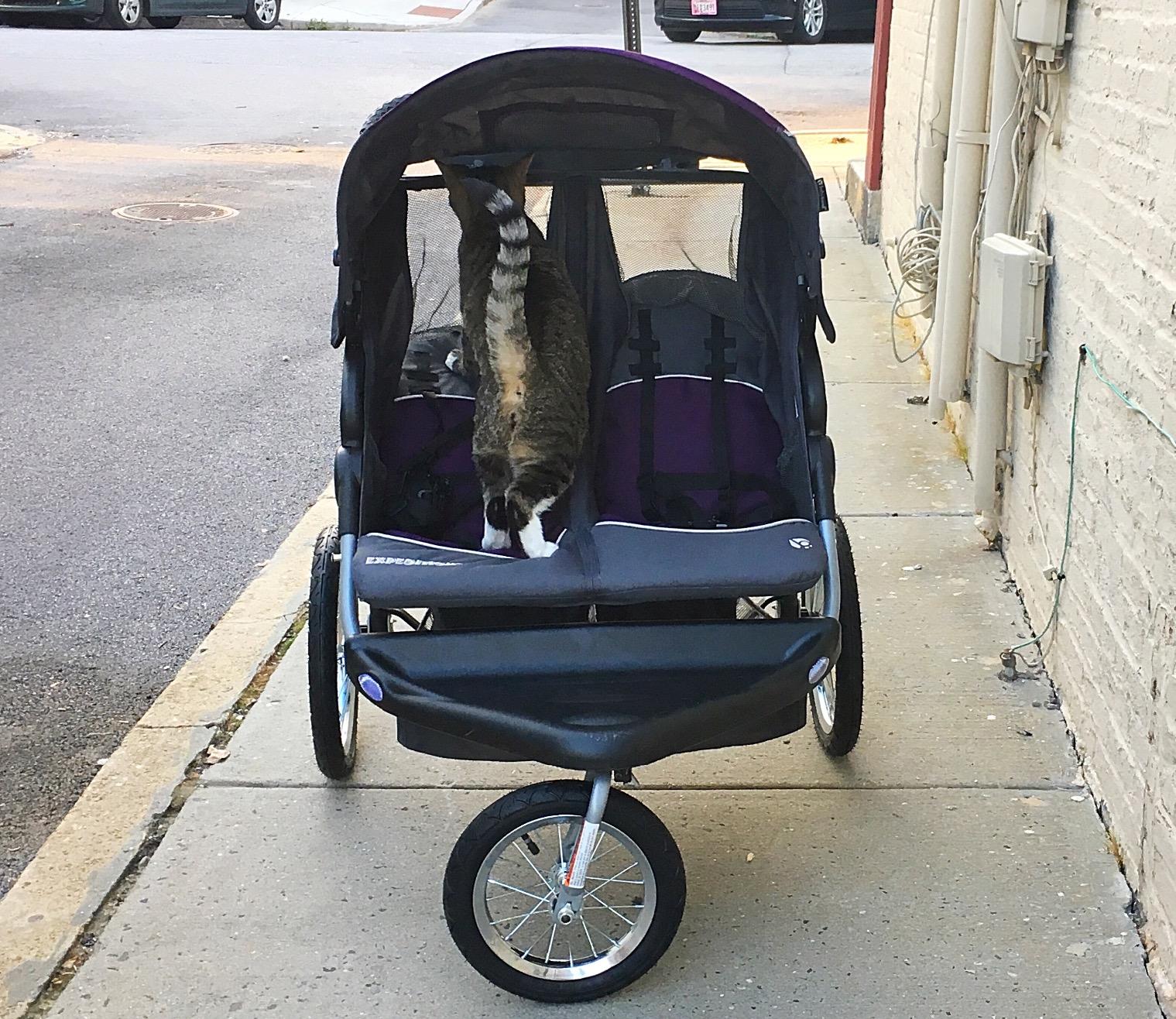 Baby Trend Navigator Lite Double Jogger customer photo 2