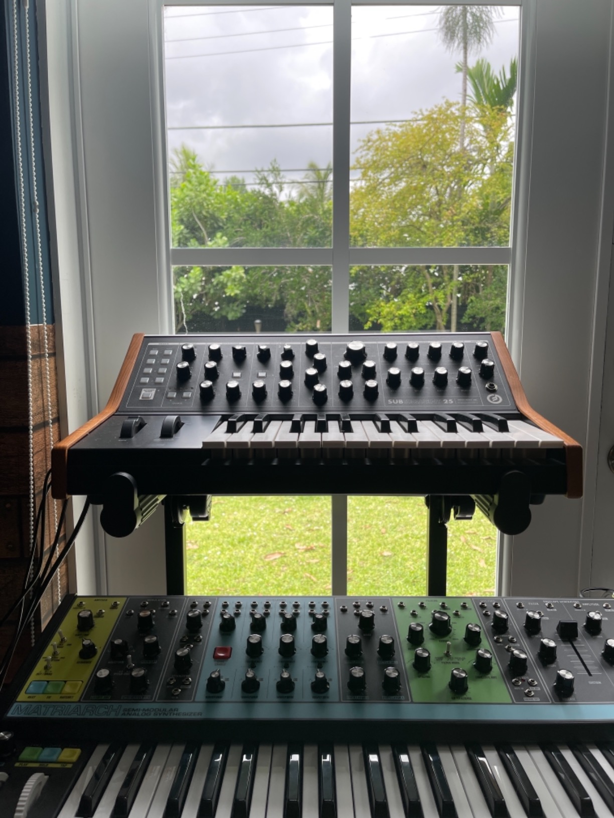 Subsequent 37 Paraphonic Analog Synthesizer and MIDI Keyboard with 37 Semi Weighted Keys, Headphone Amp, 256 Presets, Screen and Software Editor customer photo 1