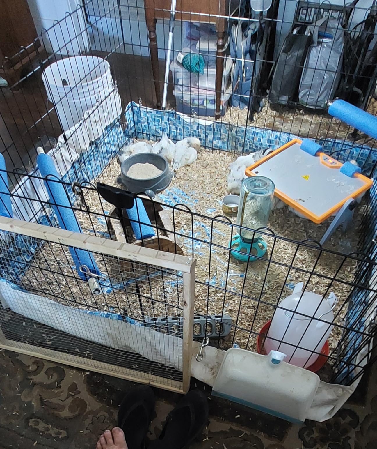 Amazon Basics Foldable Octagonal Metal Exercise Dog Playpen, Indoor/Outdoor Pet Fence, No Door, 8 Panels, Extra Small, 24 x 24 Inches, Black customer photo 1