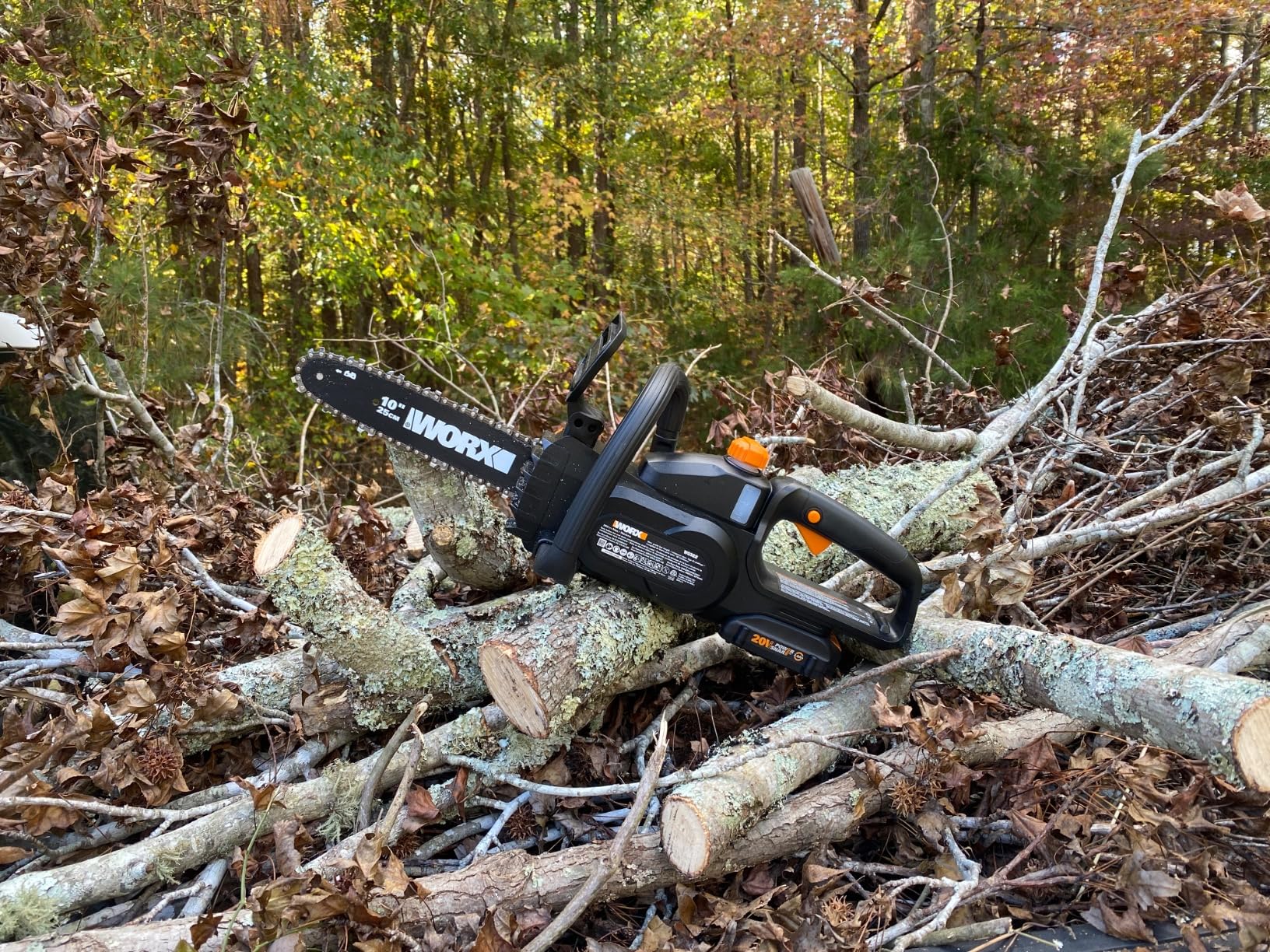 Worx WG322 20V Power Share 10-Inch Cordless Chainsaw with Auto-Tension customer photo 1