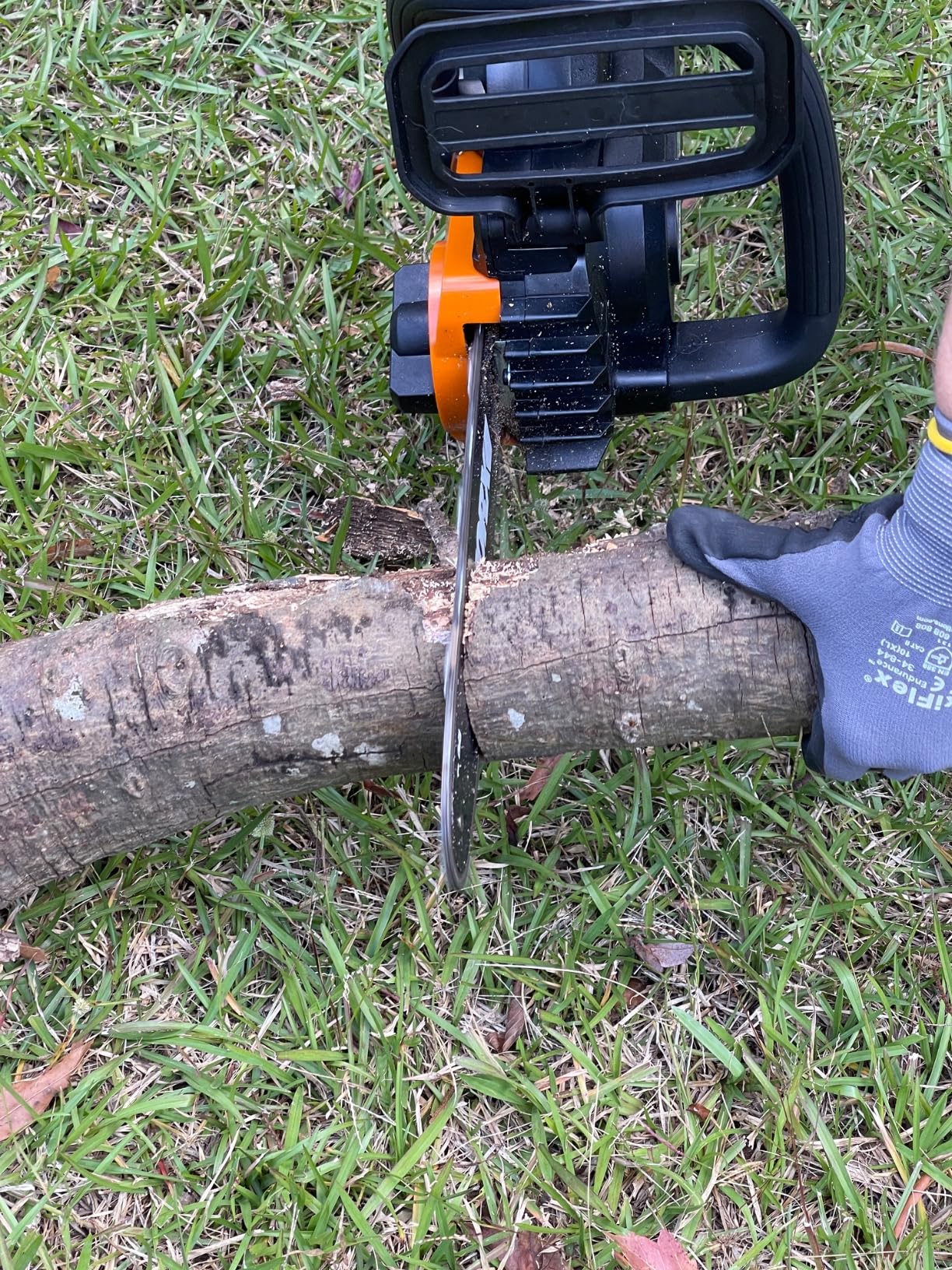 Worx WG322 20V Power Share 10-Inch Cordless Chainsaw with Auto-Tension customer photo 2