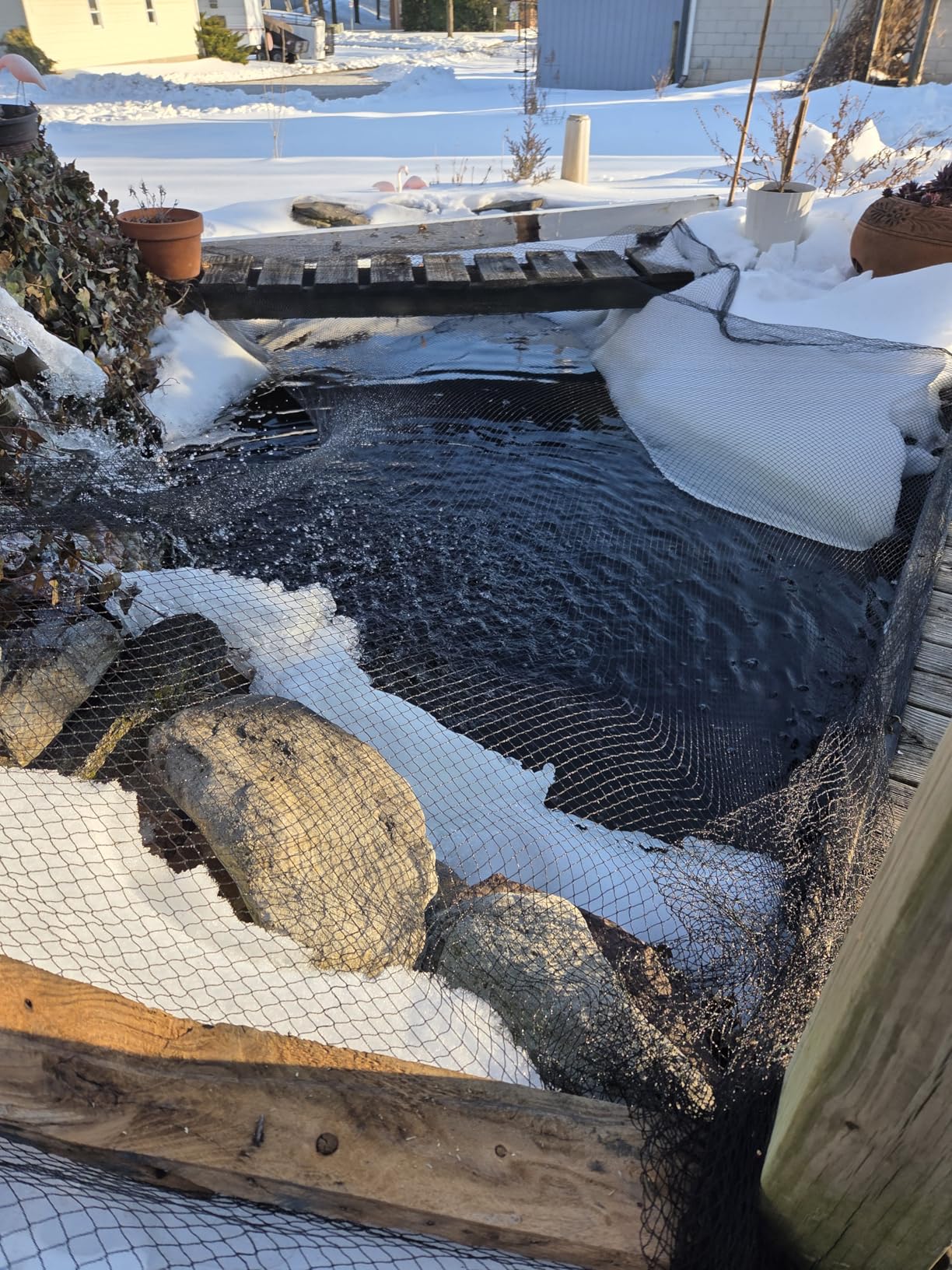 AlpineReach Koi Pond Netting Kit 15 x 20 ft Black Heavy Duty Woven Fine Mesh Net Cover for Leaves - Protects Koi Fish from Blue Heron Birds, Cats & Predators - Reusable & Stakes Included customer photo 1