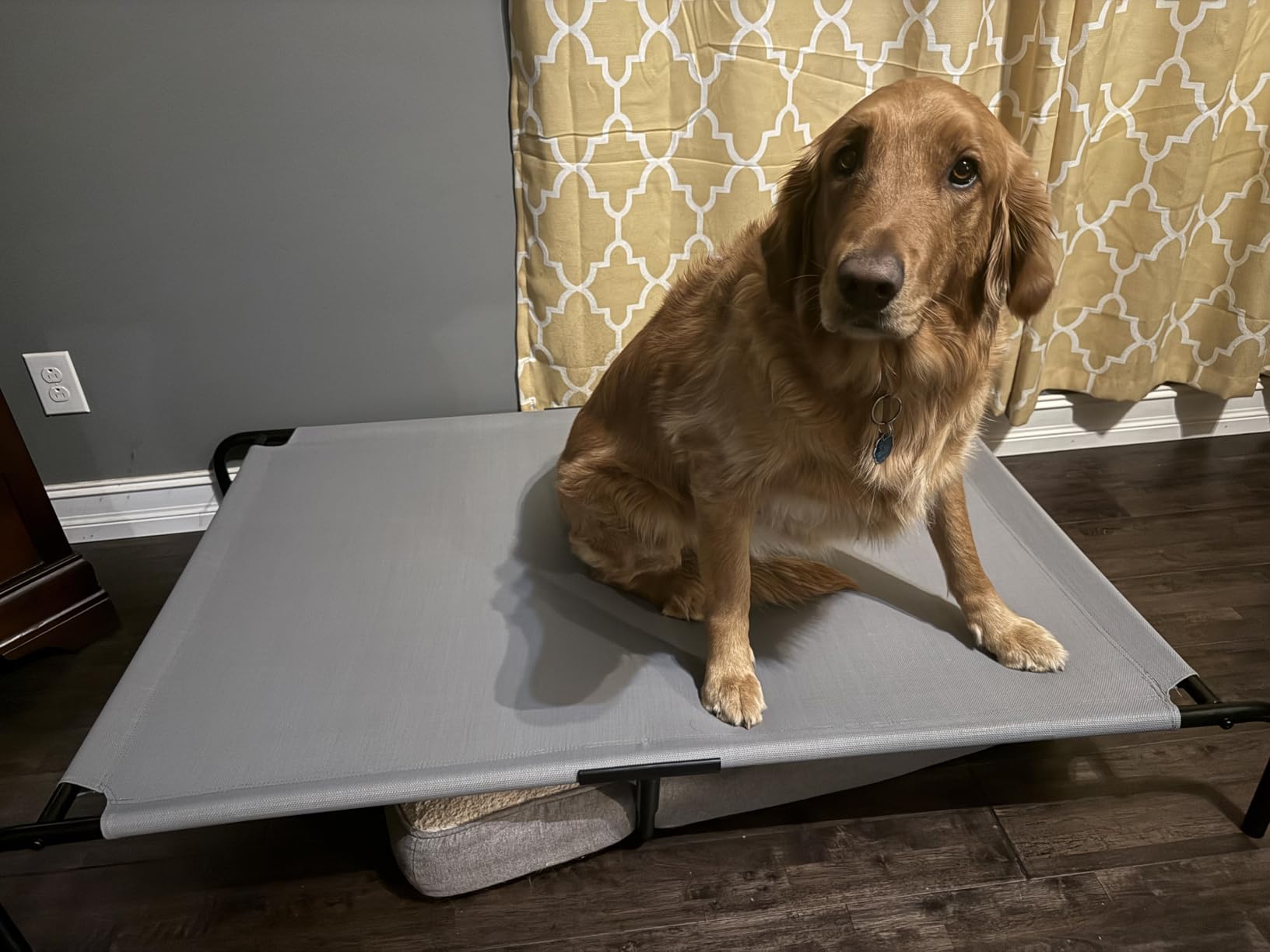 Amazon Basics Cooling Breathable Elevated Dog Bed with Metal Frame for Large Dogs, 51