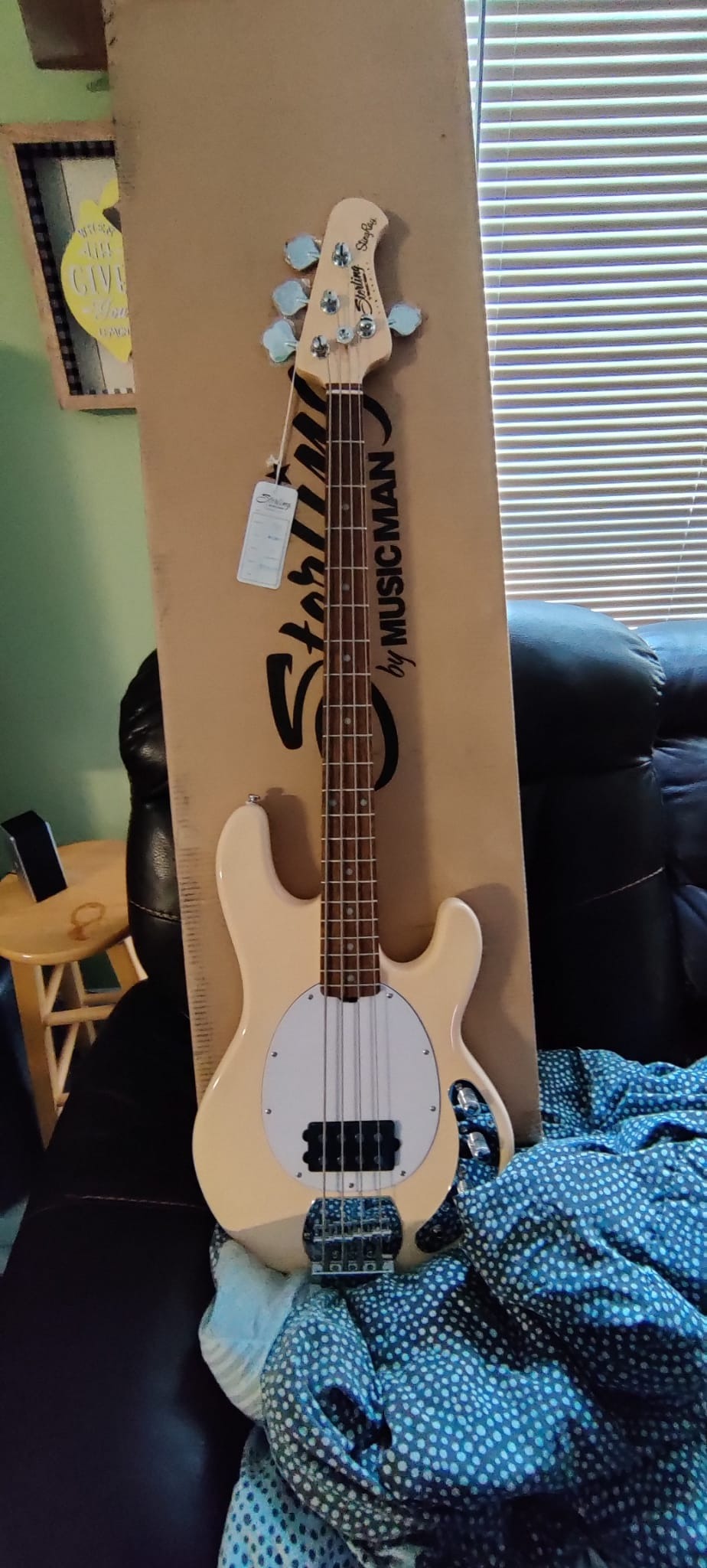 StingRay Ray4 Bass Guitar in Black (Music Man) customer photo 2