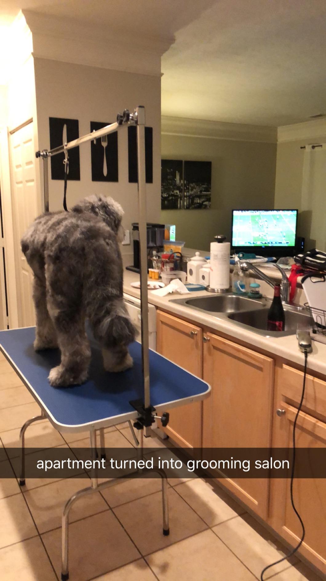 Yaheetech Foldable & Portable Pet Grooming Table for Home - Stainless Steel H-Shape Frame Height Adjustable Pet Beauty Table w/Arm/Noose/Mesh Tray, 45in x 24in customer photo 2