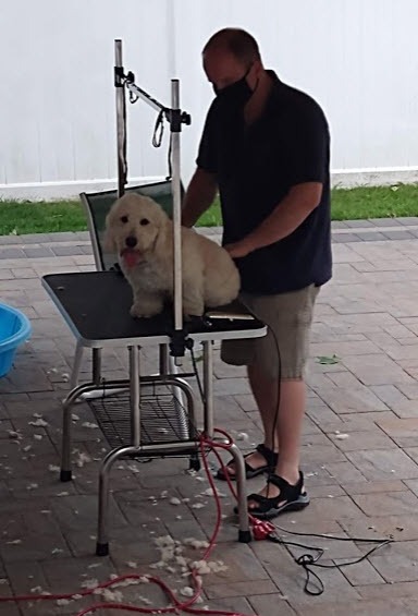 Pet Grooming Table for Large Dogs Adjustable Professional - Portable Trimming Drying Table w/Arm/Noose/Mesh Tray, Maximum Capacity Up to 330LB customer photo 1