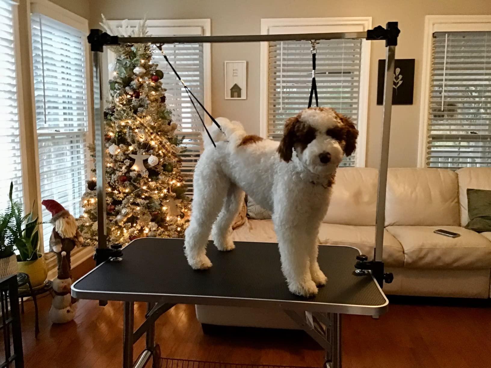 Pet Grooming Table for Large Dogs Adjustable Professional - Portable Trimming Drying Table w/Arm/Noose/Mesh Tray, Maximum Capacity Up to 330LB customer photo 2