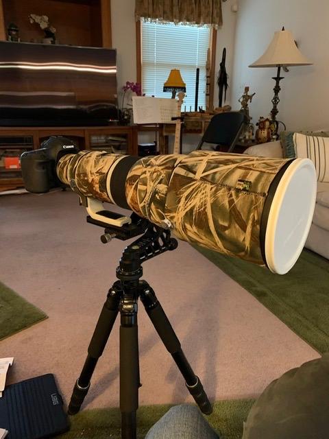 ProMediaGear GKJr. Katana Junior Telephoto Lens Gimbal Head for Wildlife Sports Photography customer photo 1
