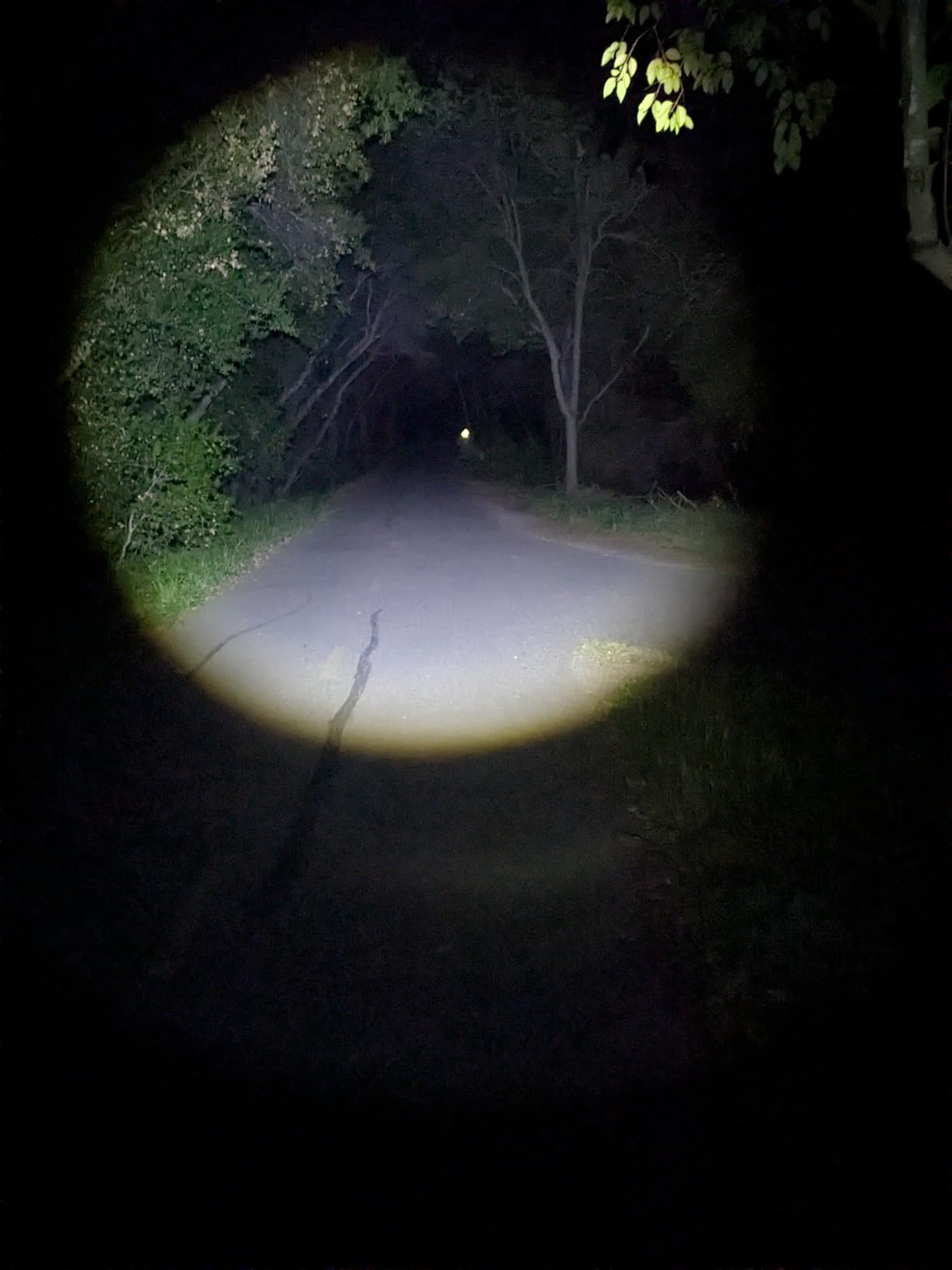 DanForce Camouflaged Headlamp Ultra Bright USB Rechargeable Head lamp. Tactical Head Flashlight Designed Especially for Hunting & Fishing. LED Headlamps LUMINUS 1080 Lumens Headlight with Red Light customer photo 2