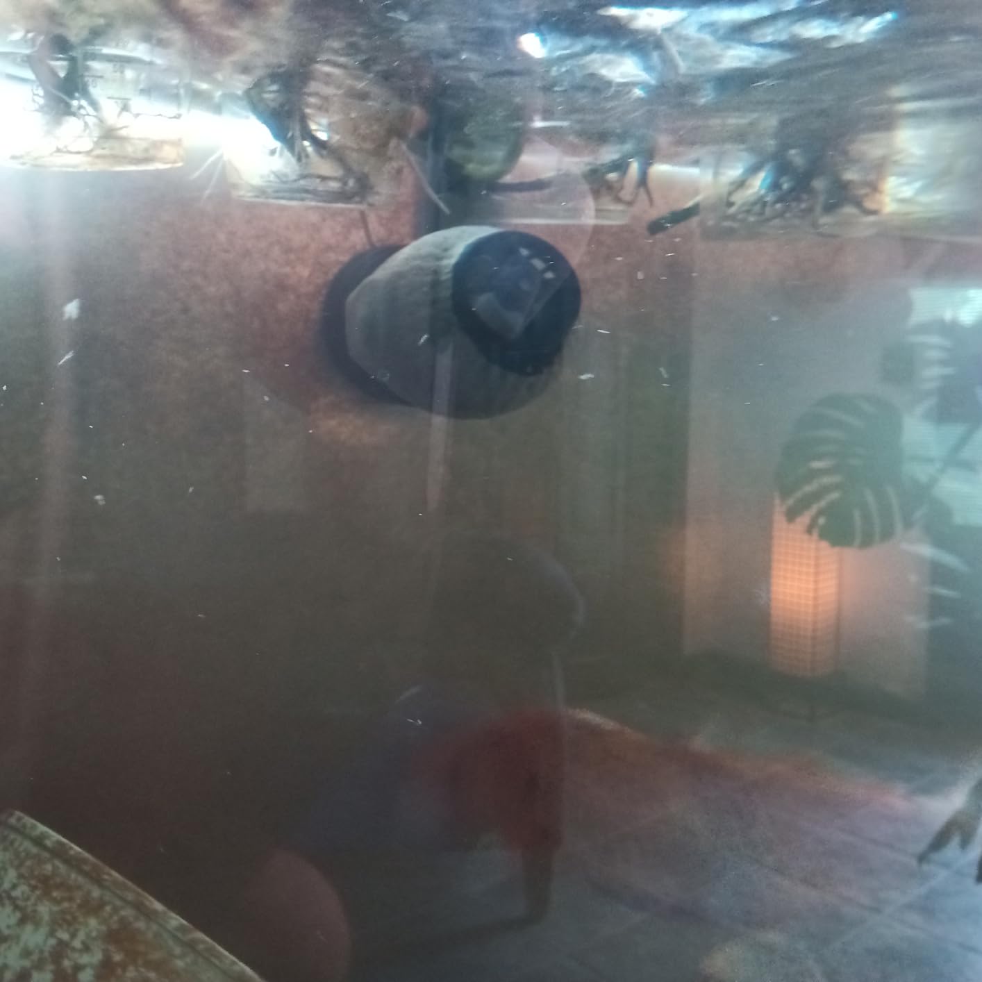 Jebao SOW Wave Maker Flow Pump with Controller for Marine Reef Aquarium (SOW-8) customer photo 1