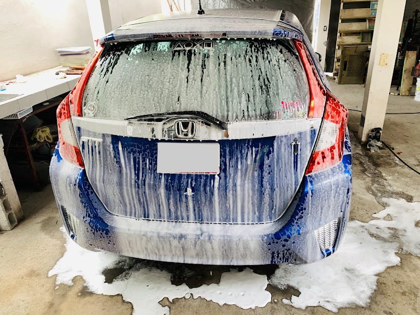 Tool Daily Foam Cannon with 1/4 Inch Quick Connector, 1 Liter, 5 Pressure Washer Nozzle Tips customer photo 2