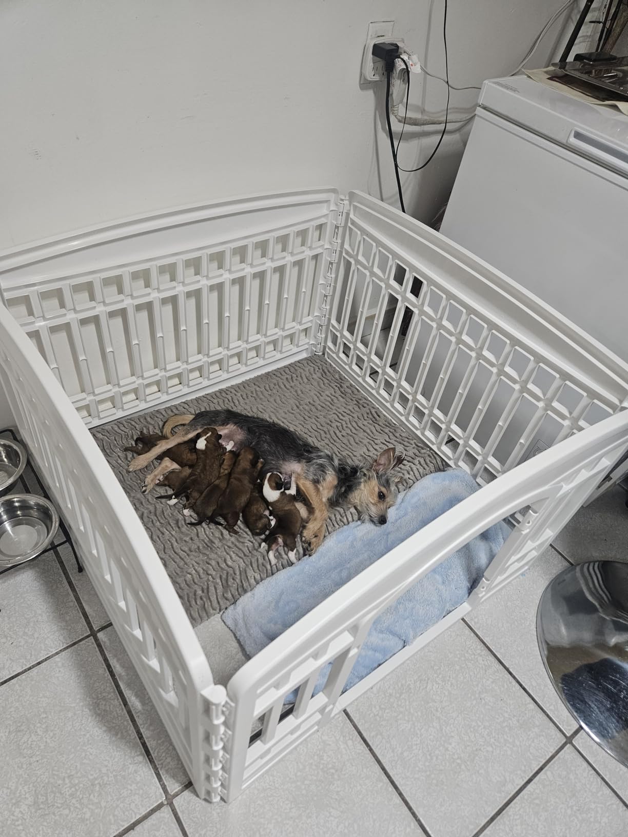 IRIS USA Dog Playpen with Door, 24