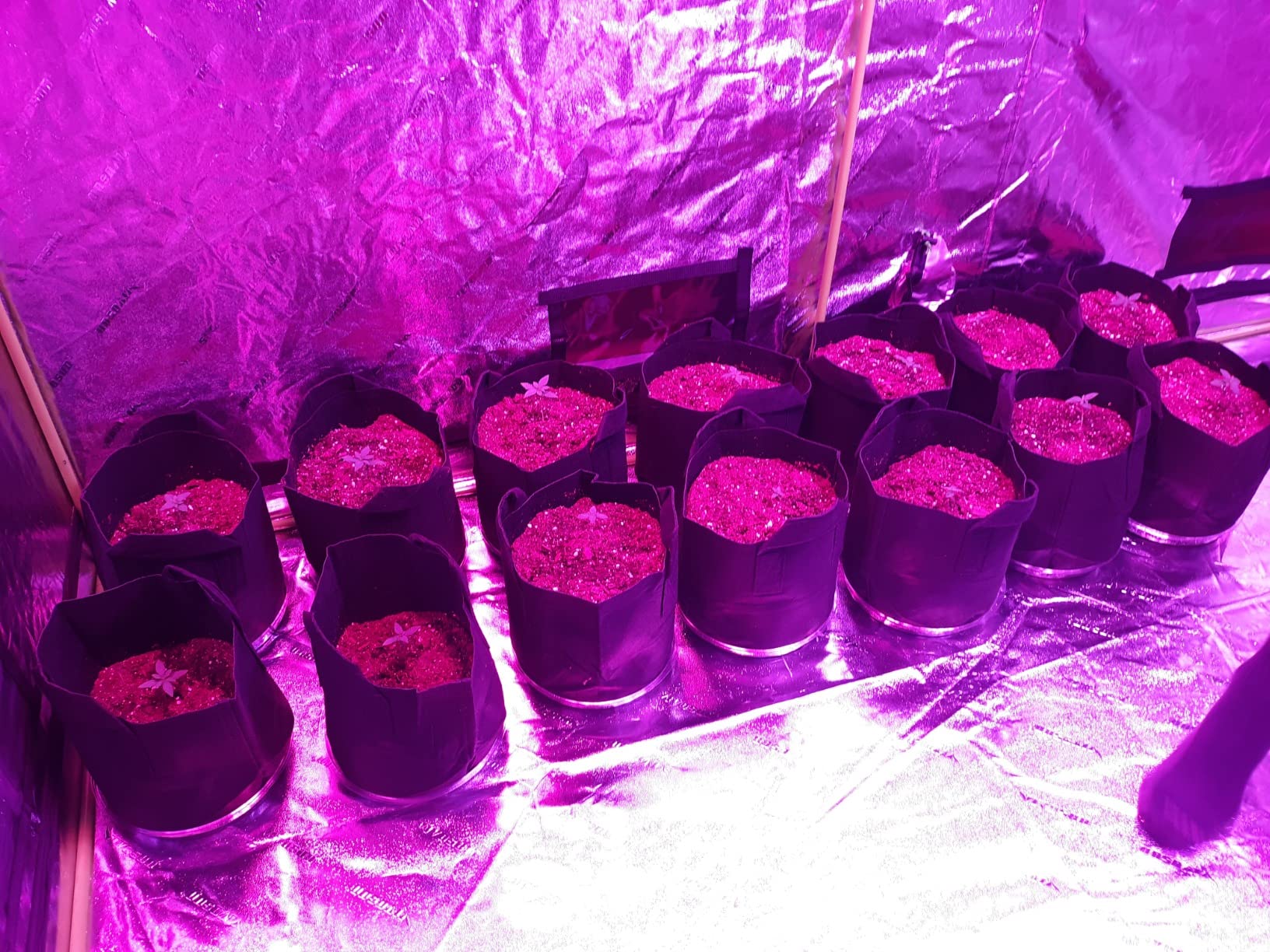 VIVOSUN D325 2-in-1 3x2 Grow Tent, 36
