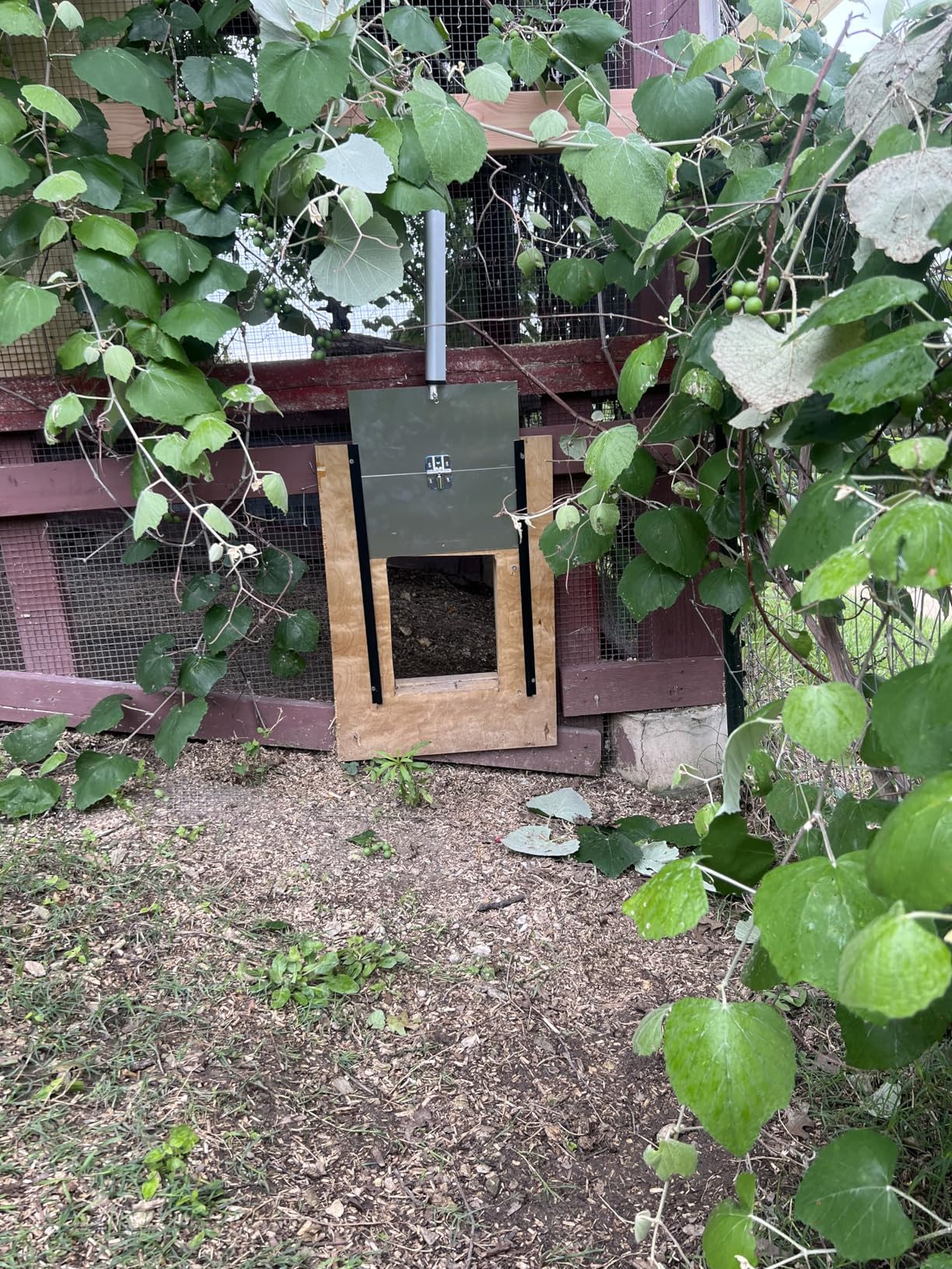 JVR Automatic Chicken Coop Door Heavy Duty Aluminum customer photo 1