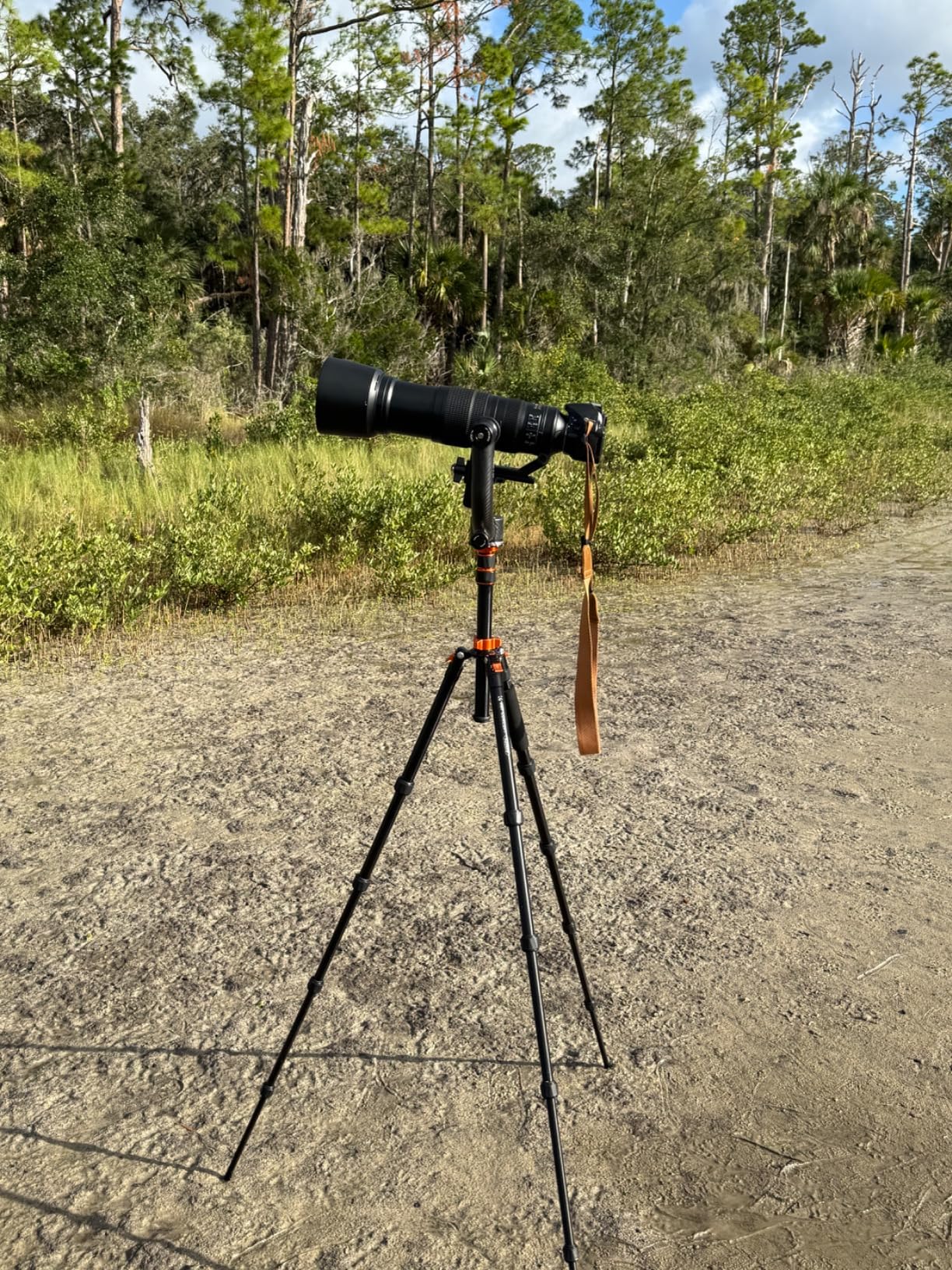 Movo GH800 MKII Carbon Fiber Professional Gimbal Tripod Head with Long and Short Arca-Swiss Quick-Release Plates - for Outdoor Bird/Wildlife Photography customer photo 1