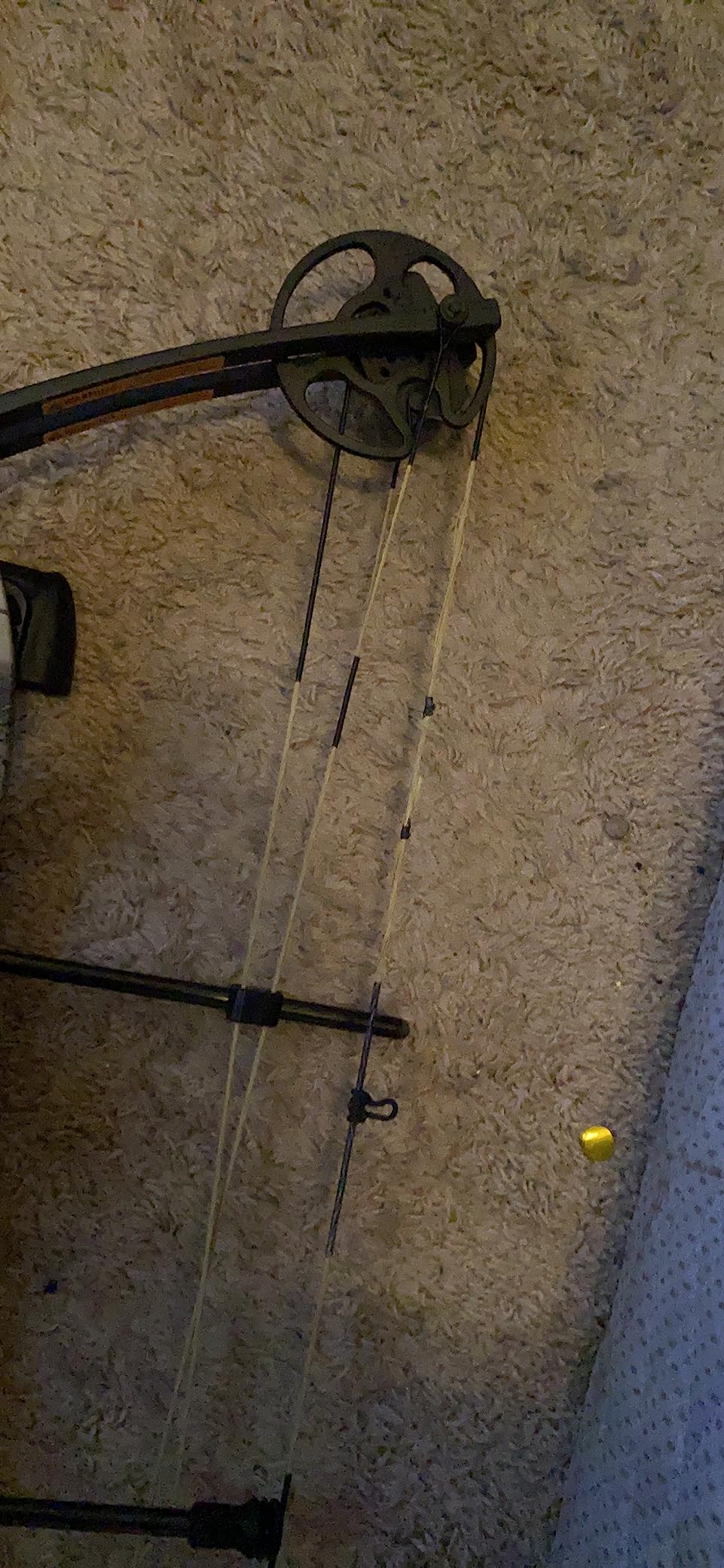 Bear Archery Limitless Dual Cam Compound Bow customer photo 1