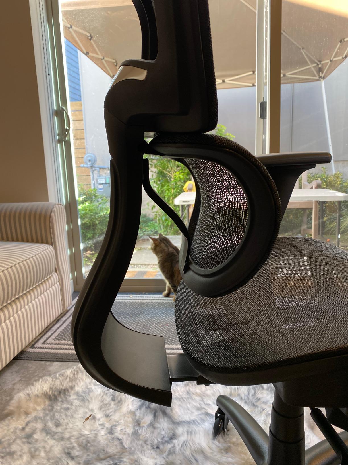 Nouhaus Ergo3D Ergonomic Office Chair Lumbar Support Mesh Office Chair with 4D Adjustable Armrest, Adjustable Headrest and Wheels, Mesh High Back Home Office Desk Chairs(Black) customer photo 1