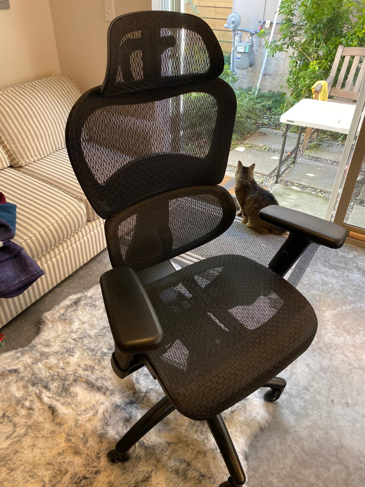 Nouhaus Ergo3D Ergonomic Office Chair Lumbar Support Mesh Office Chair with 4D Adjustable Armrest, Adjustable Headrest and Wheels, Mesh High Back Home Office Desk Chairs(Black) customer photo 2