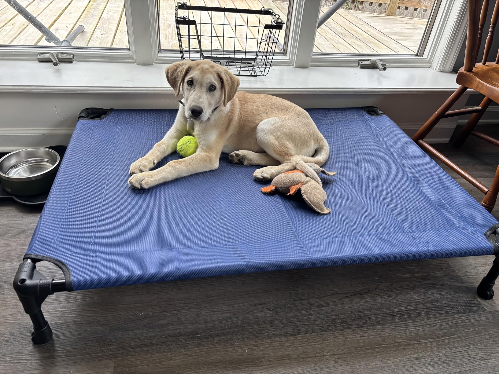 Veehoo Outdoor Elevated Dog Bed Large Sized Dogs, Large Cooling Raised Dog Cots Beds Training Platform Off Ground Hammock with Breathable Mesh, No-Slip Feet, 42