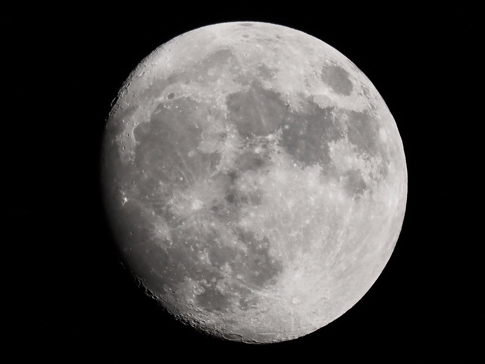 Olympus OM-D E-M1X customer photo 2