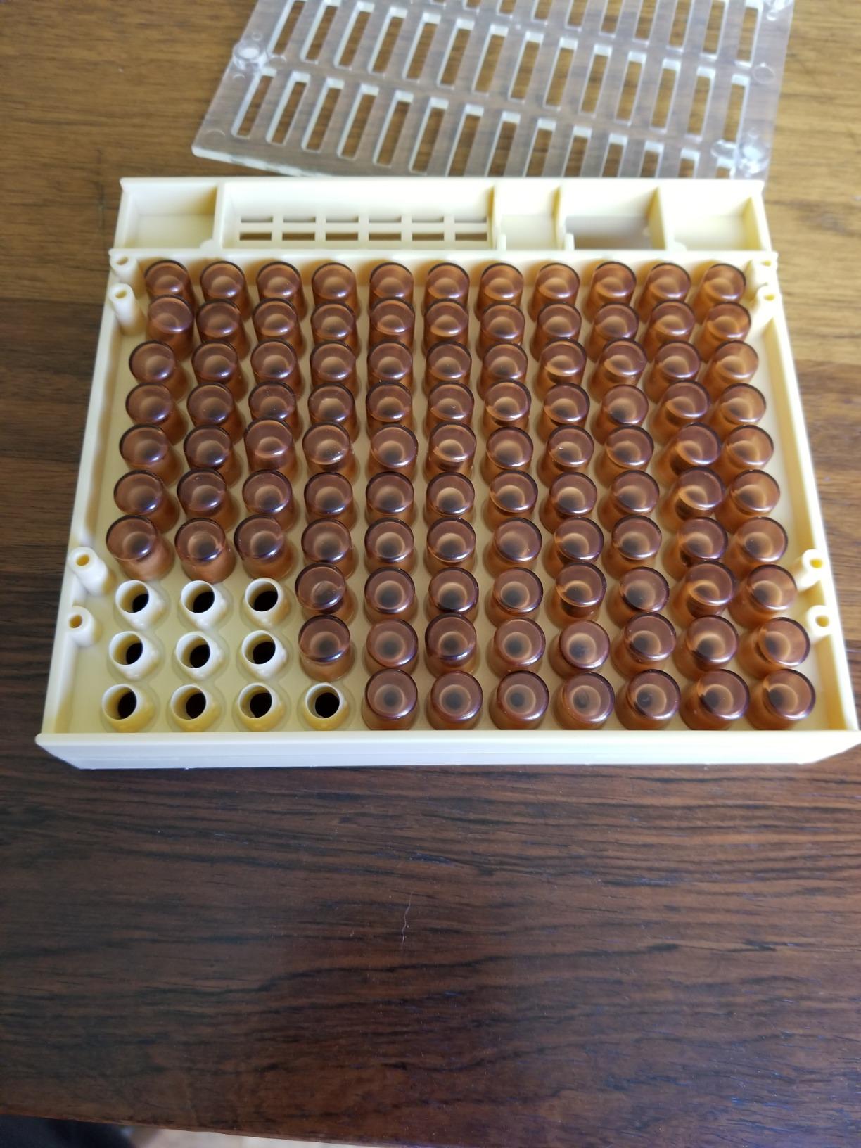 Beekeeping Nicot Bee Queen Rearing Grafting Kit for Nicot System Bee Keeping Queen Bee Rearing System Grafting Tool Kit customer photo 3