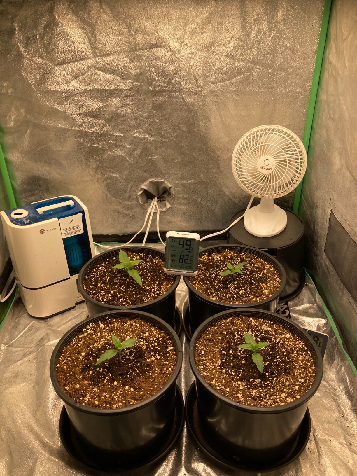 MARS HYDRO TS1000 150W LED Grow Light for Indoor Plants, with Patented Reflector, 5 Levels Dimmable Lights Daisy Chain Full Spectrum Growing Lamps for Seedlings Veg Bloom in 2x2/3x3 Grow Tent customer photo 2