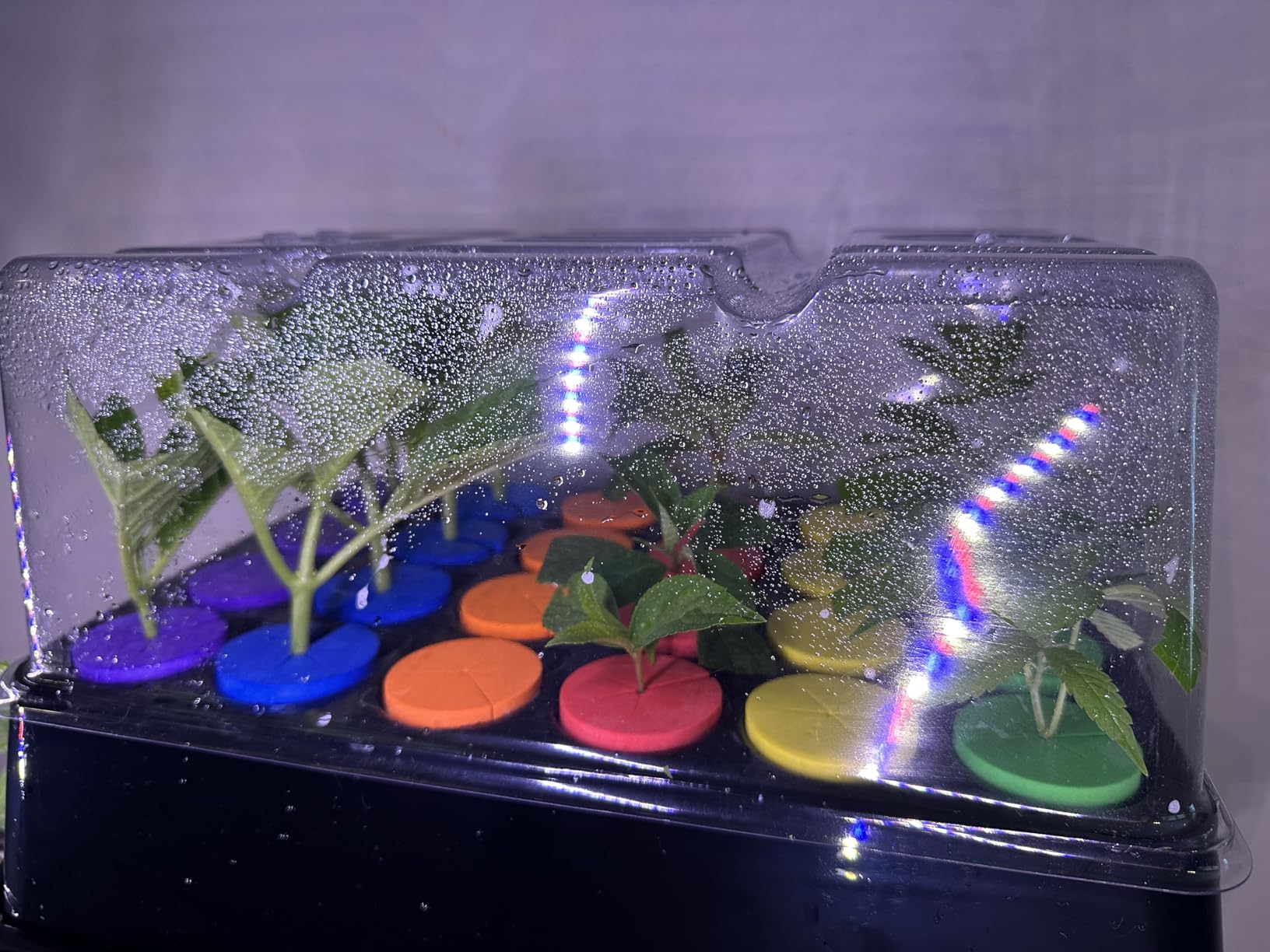 Aeroponic Clomer Machine 24 Site for Cuttings Rooting Using 2 inch Neoprene Inserts or 2 inch Clone Collars customer photo 1