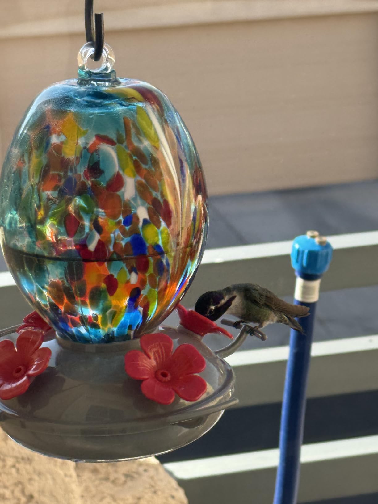 Muse Garden Glass Humming Bird Feeders for Outdoors - 27OZ Blown Glass Hummingbird Feeder - Unique Gift Mom Women, Outdoors Hanging Garden Decor, Includes Ant Moat & Brush, Blue Fireworks customer photo 2