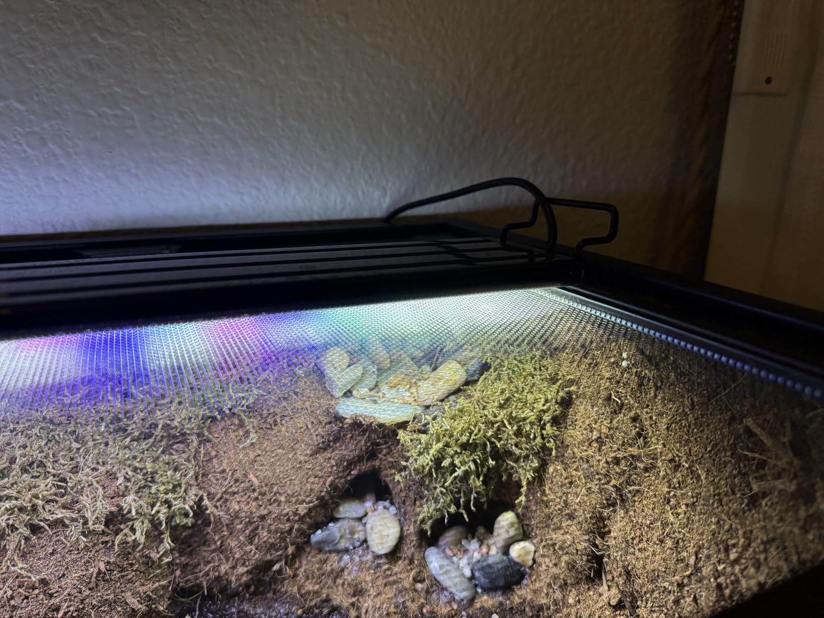 AQUANEAT LED Aquarium Light Full Spectrum for 18 Inch to 24 Inch Fish Tank Light Fresh Water customer photo 1