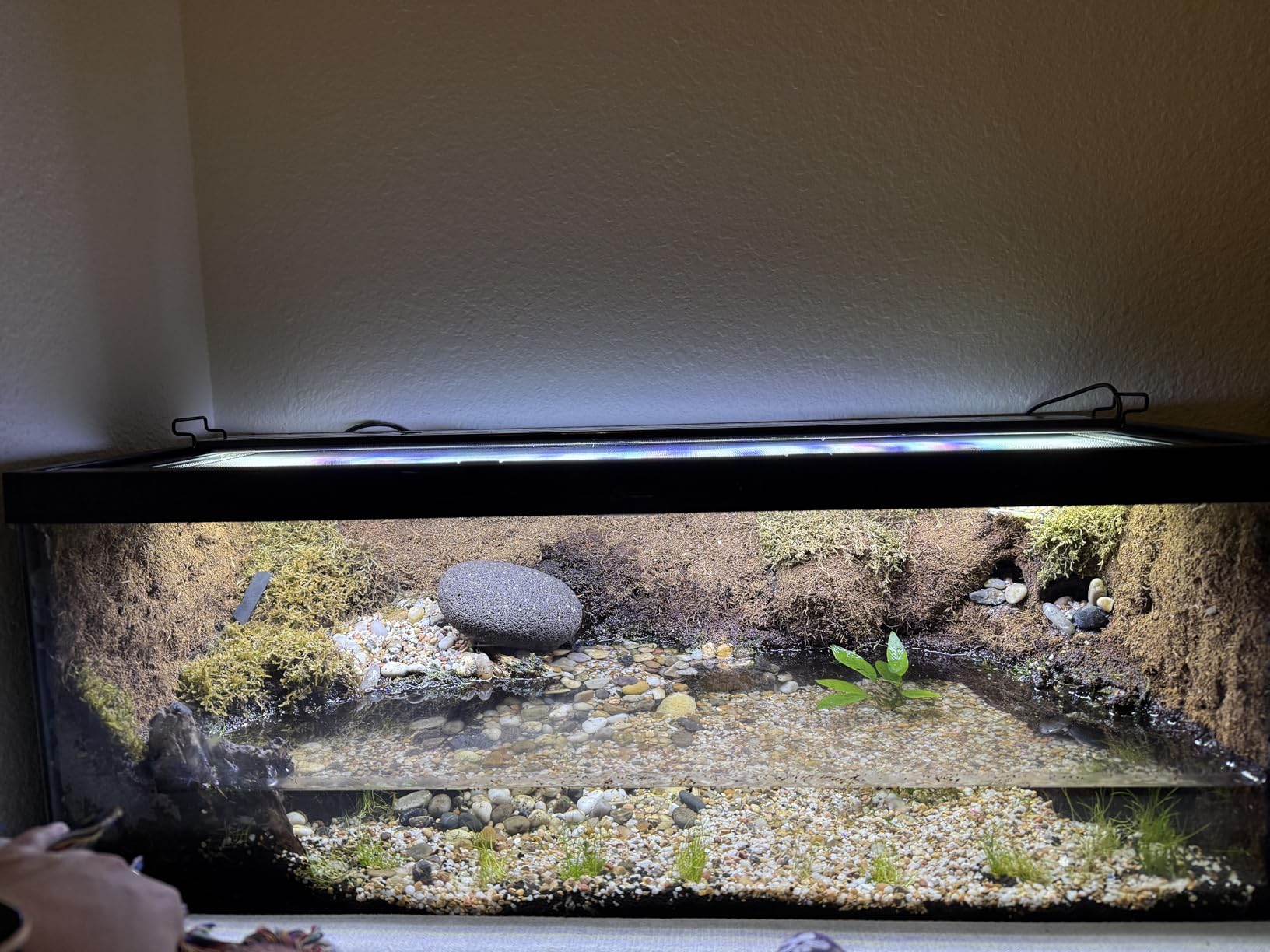 AQUANEAT LED Aquarium Light Full Spectrum for 18 Inch to 24 Inch Fish Tank Light Fresh Water customer photo 2
